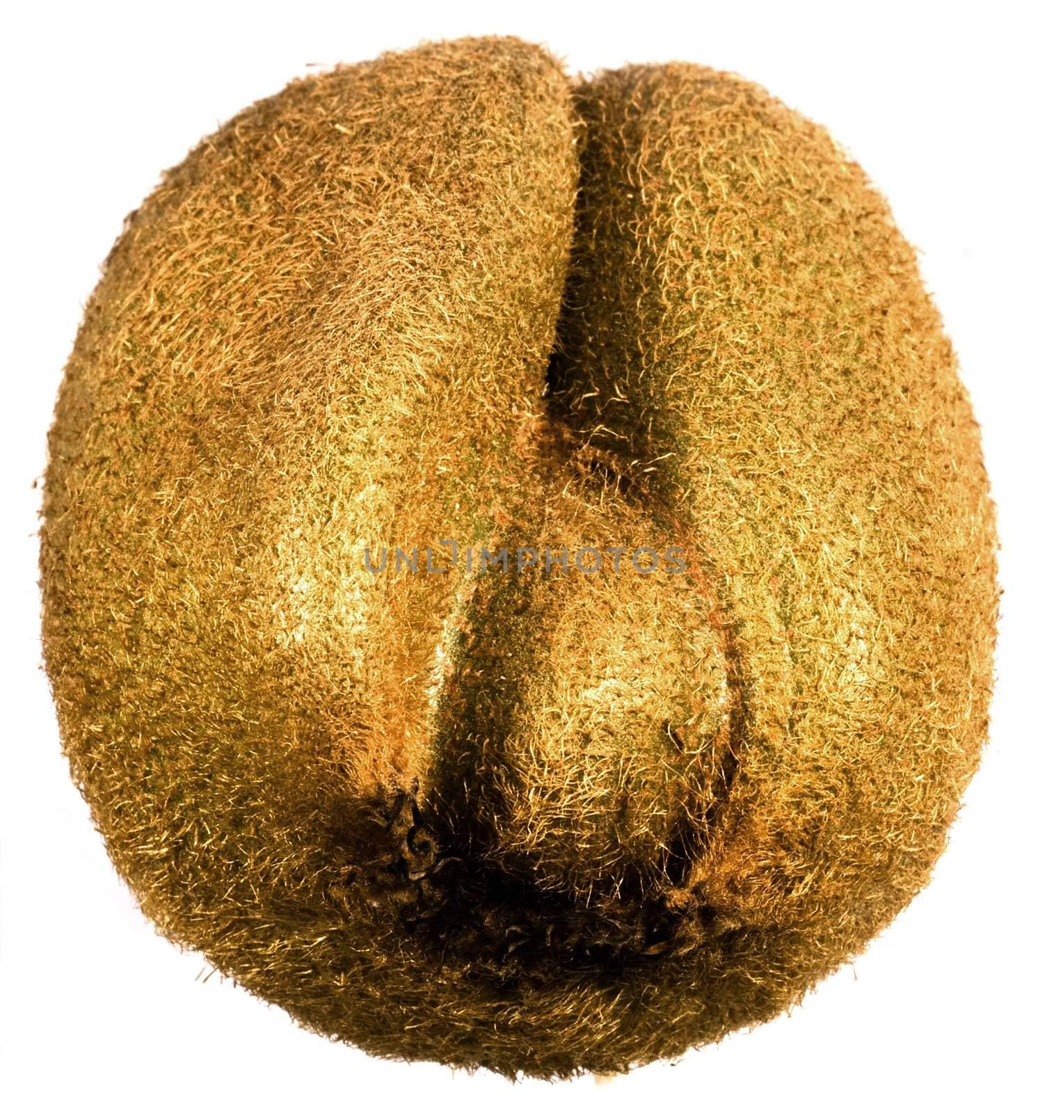 kiwifruit by gewoldi