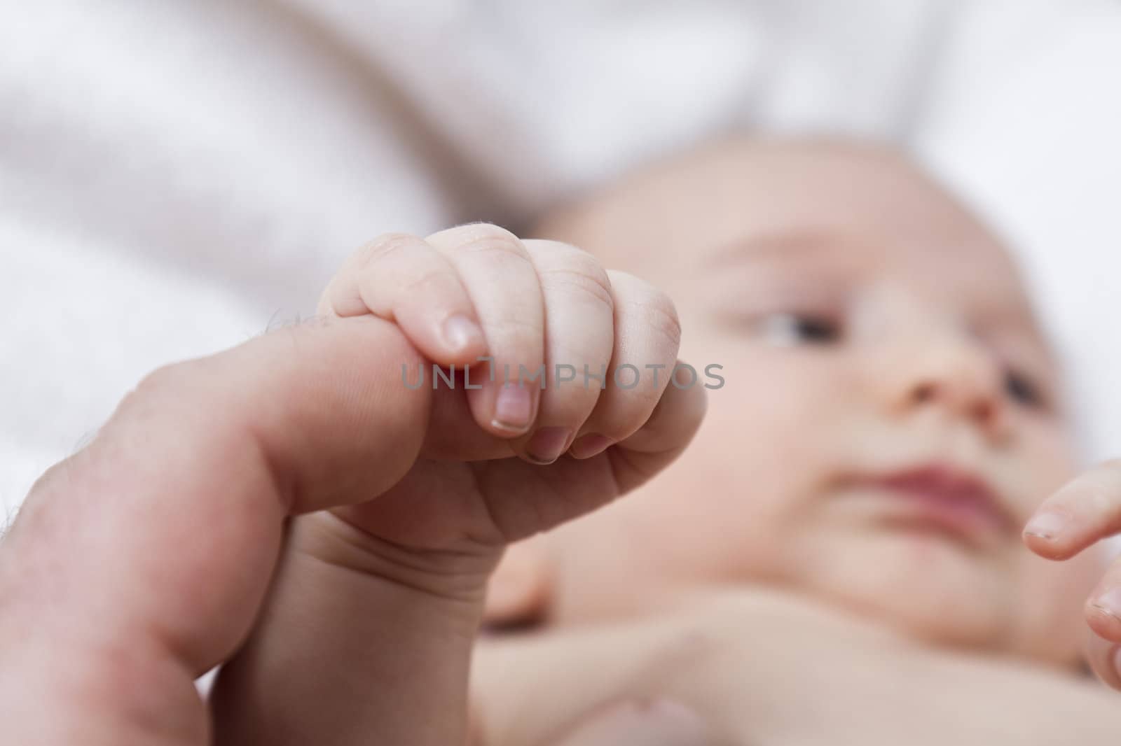 nursling holding finger of adult person. depth of field with focus on finger and hand