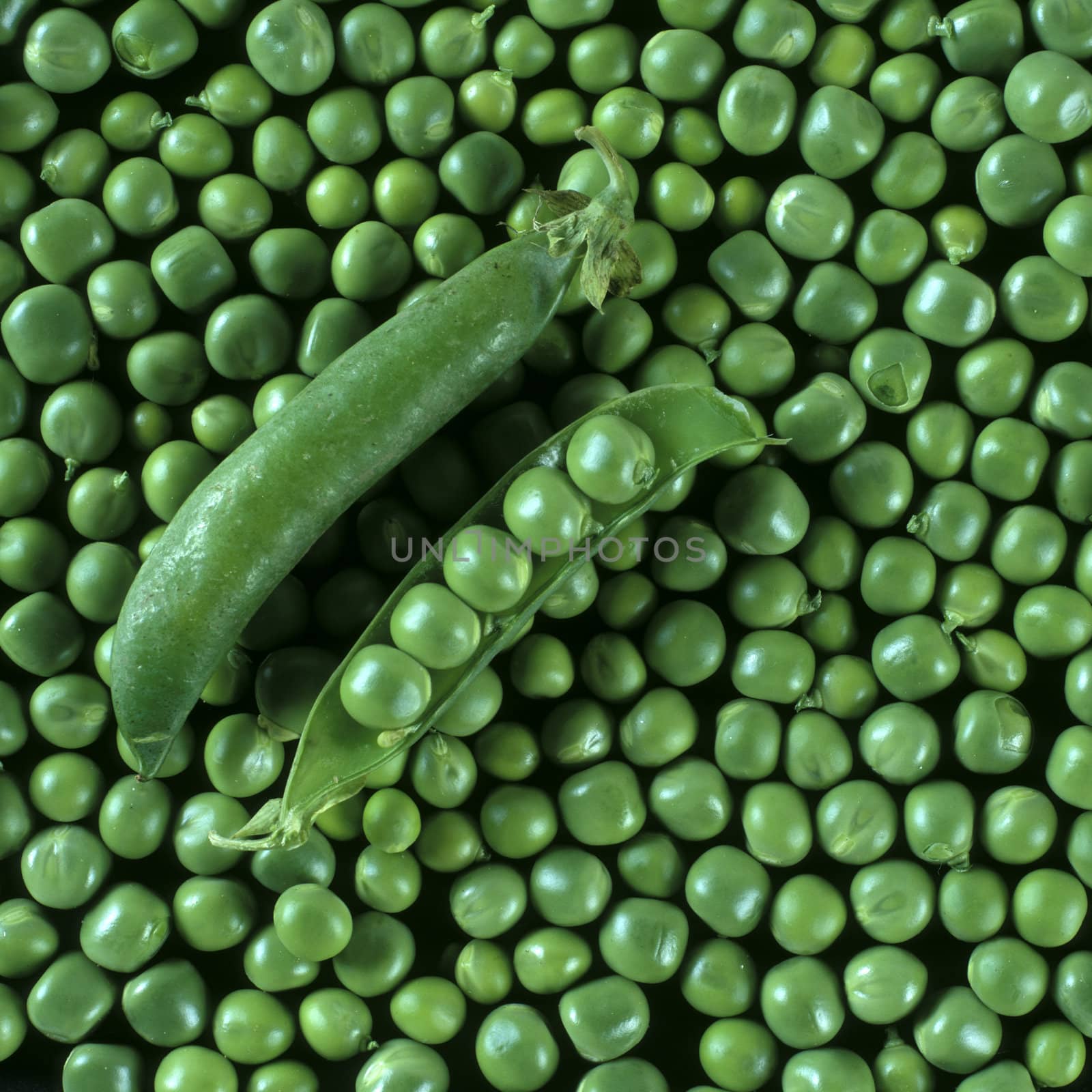 green peas by phbcz