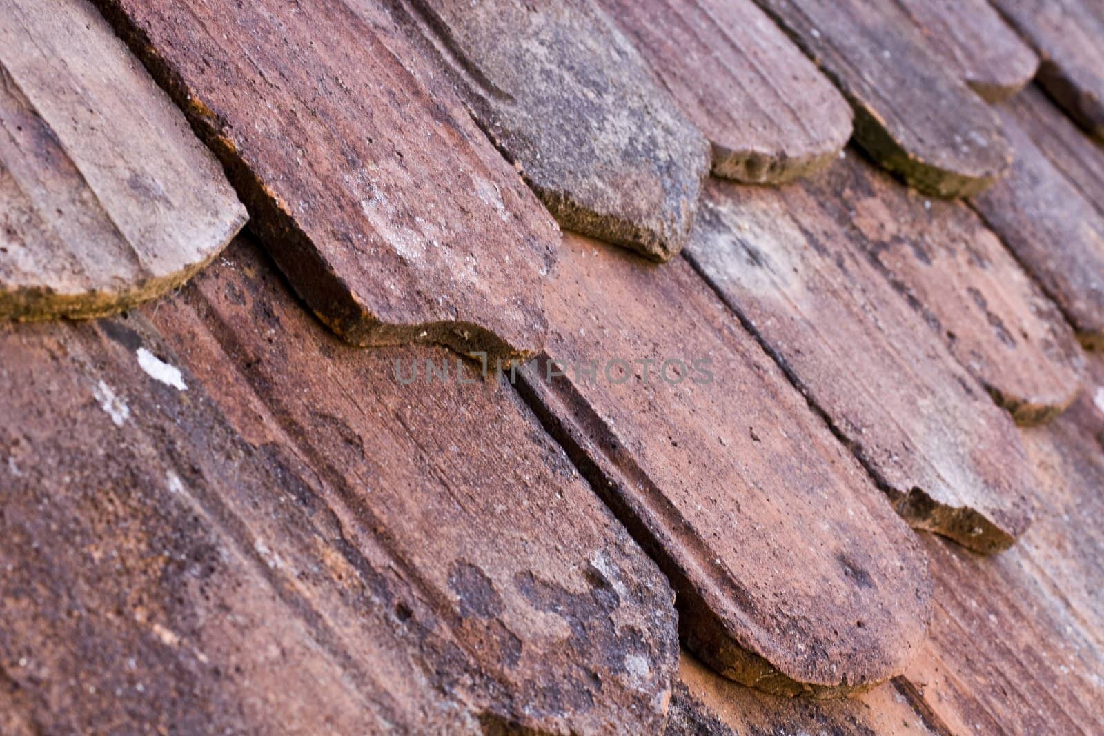 old historic roof tile