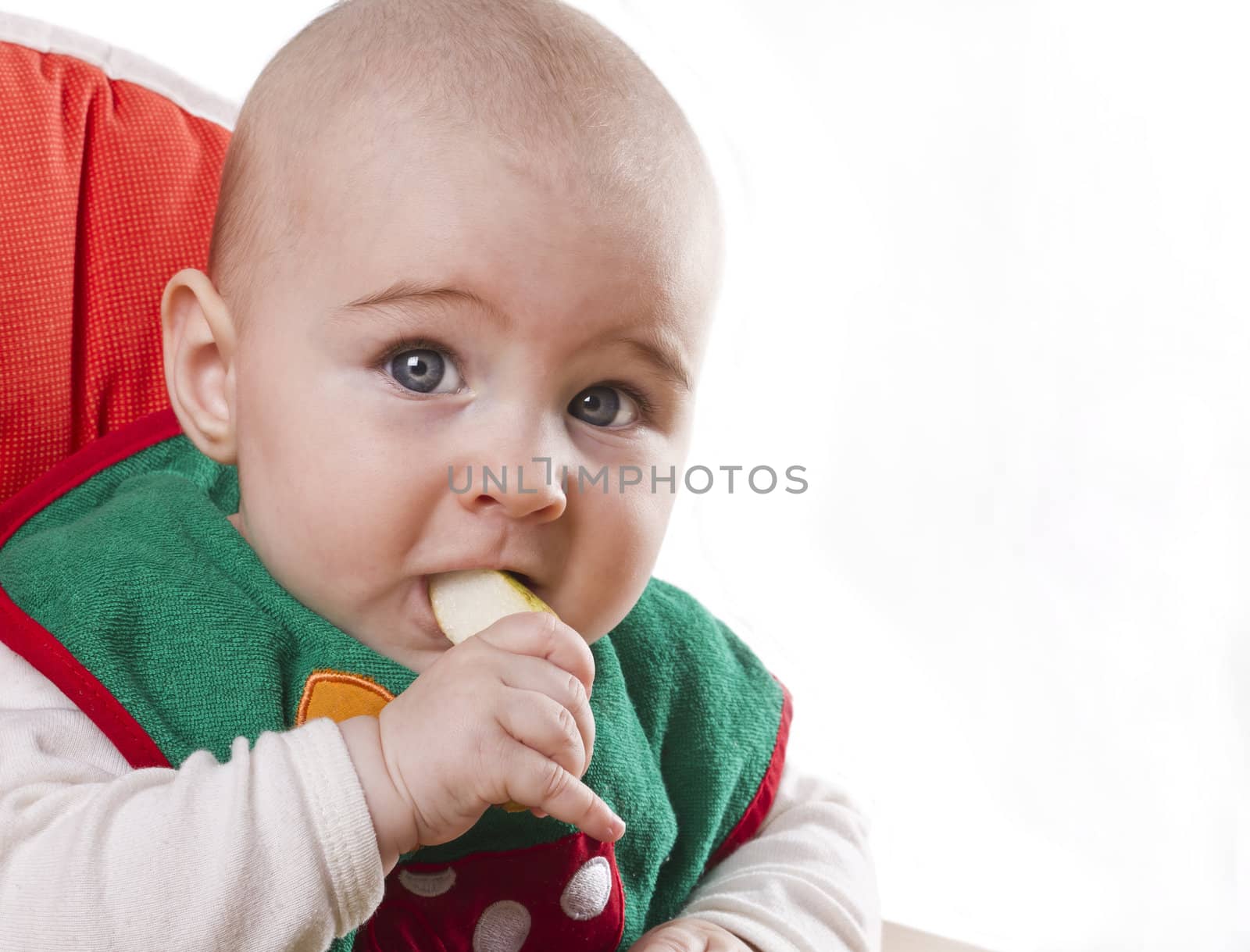 young baby sitting and eating an apple. Isolated on white.