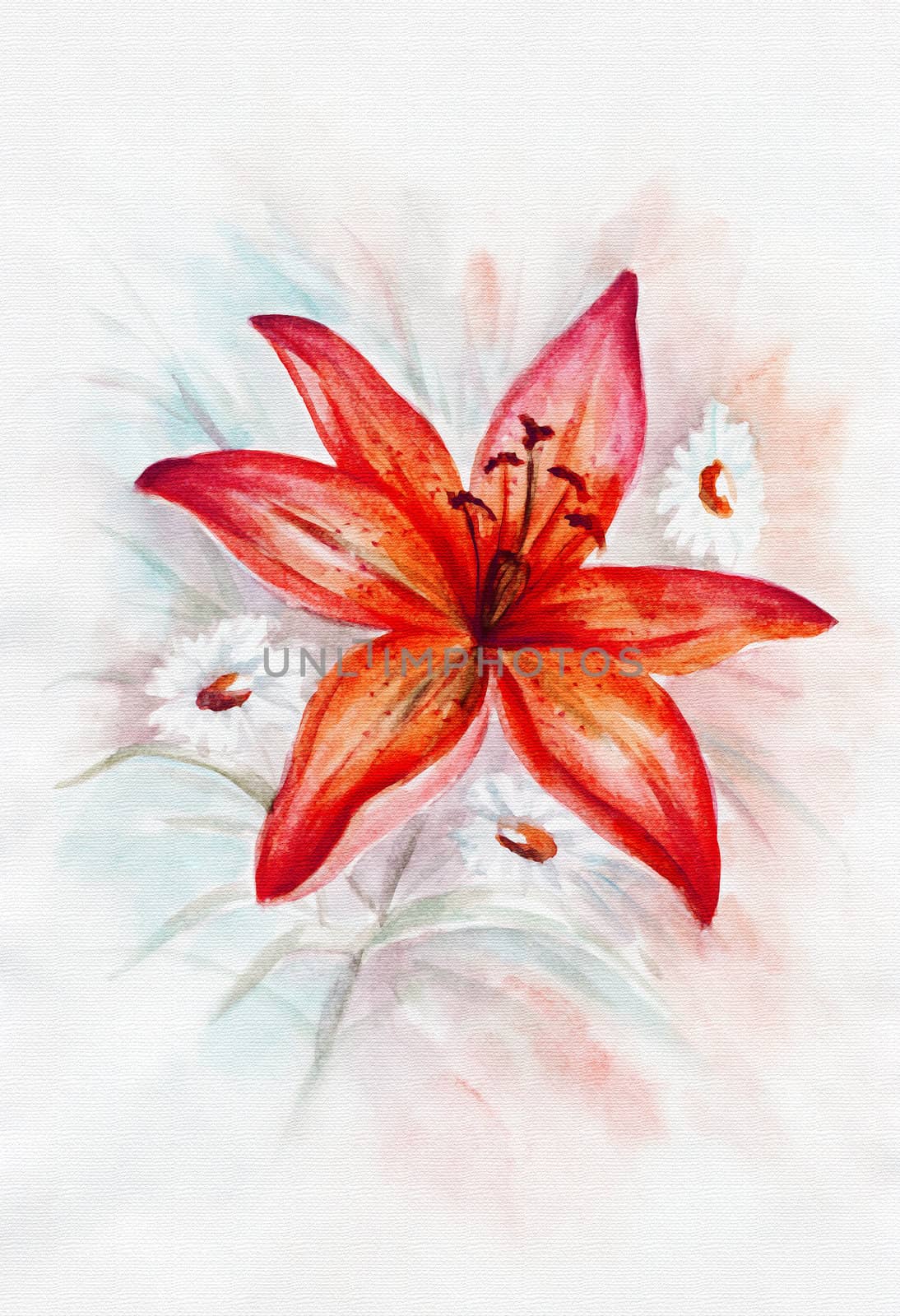 Red lily and camomiles, picture oil paints on a canvas