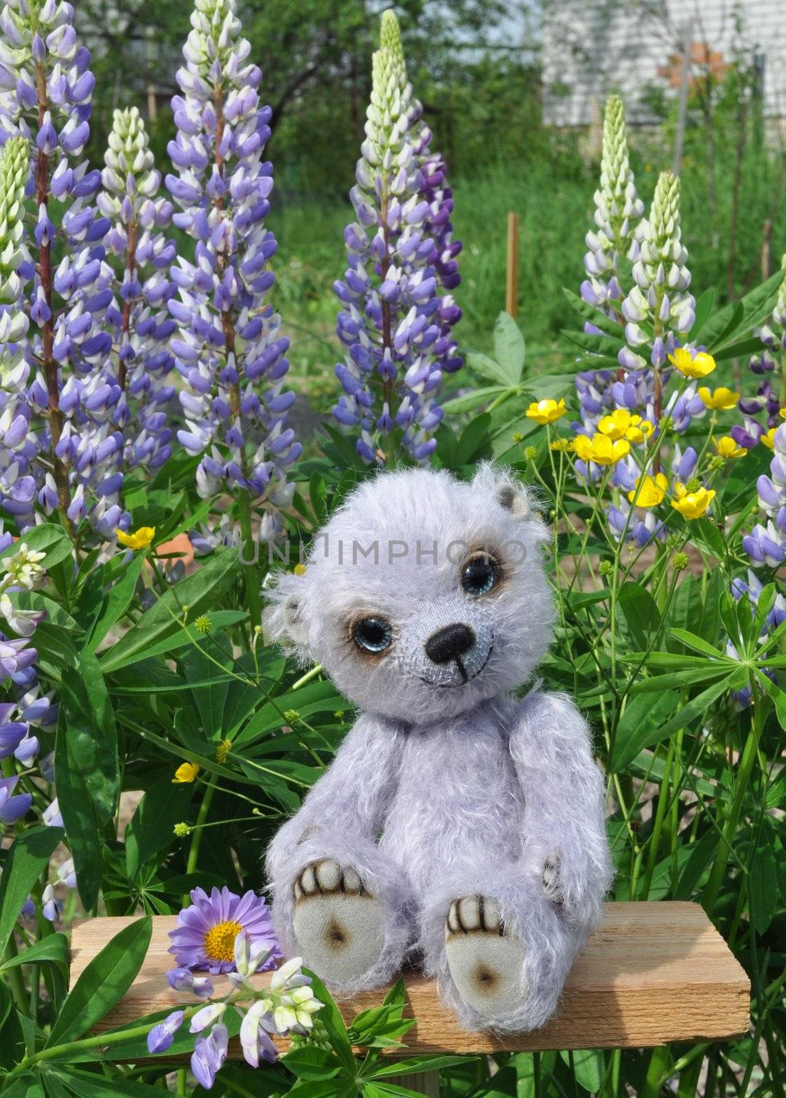 Handmade, the sewed toy: teddy bear Chupa on a little board among flowers lupine and buttercups