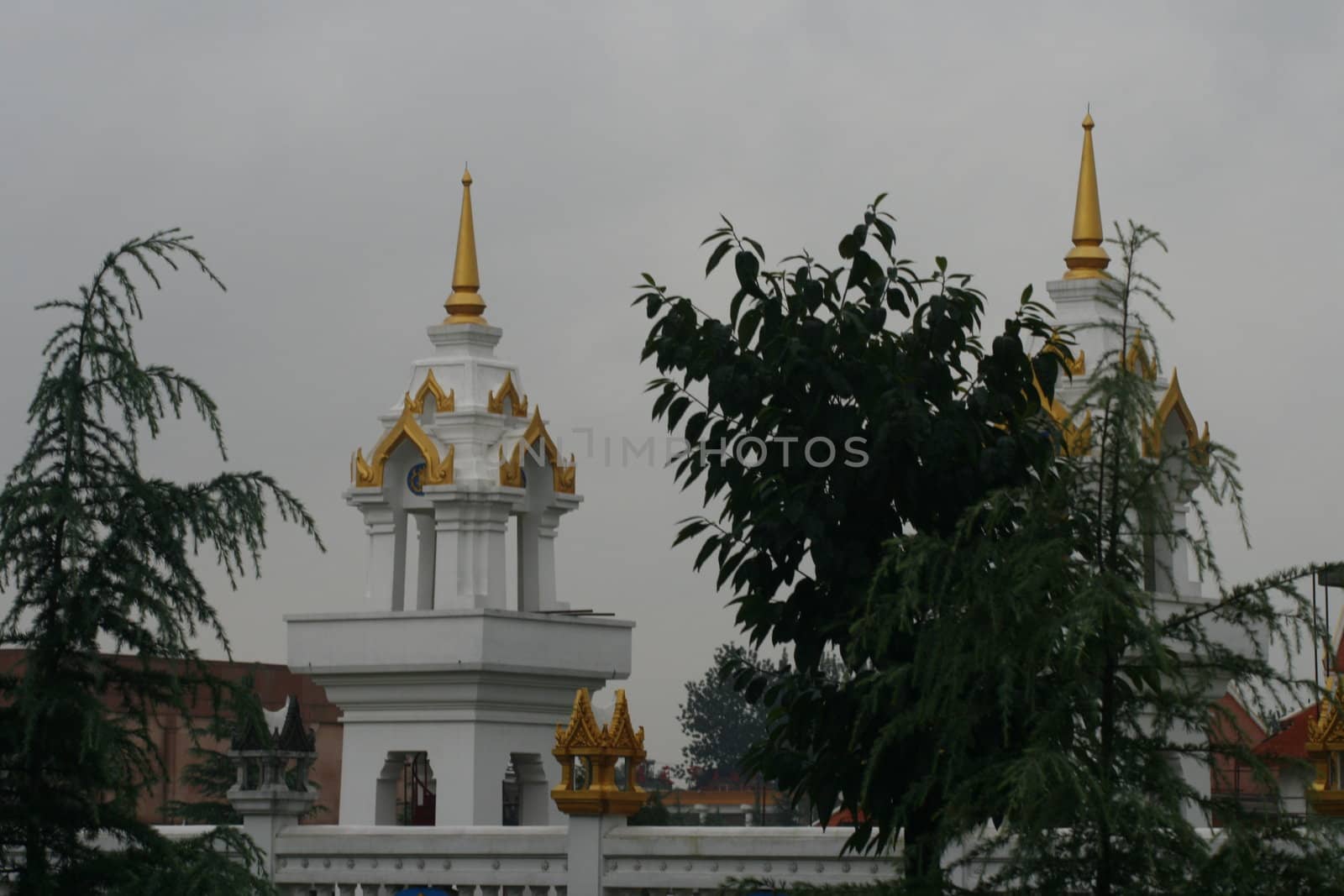 golden roofs of the temple of the white horse by koep