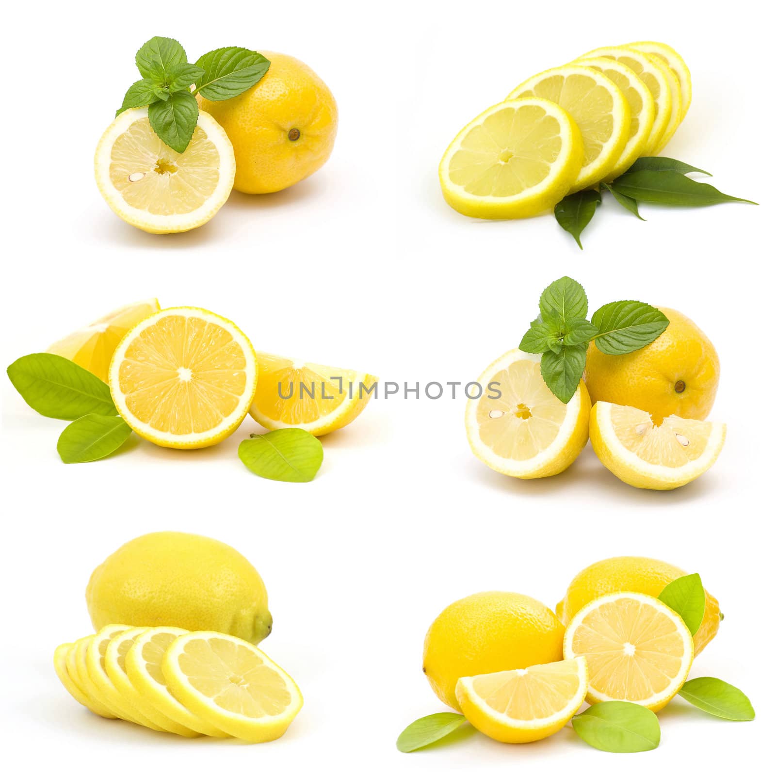 collection of fresh lemons