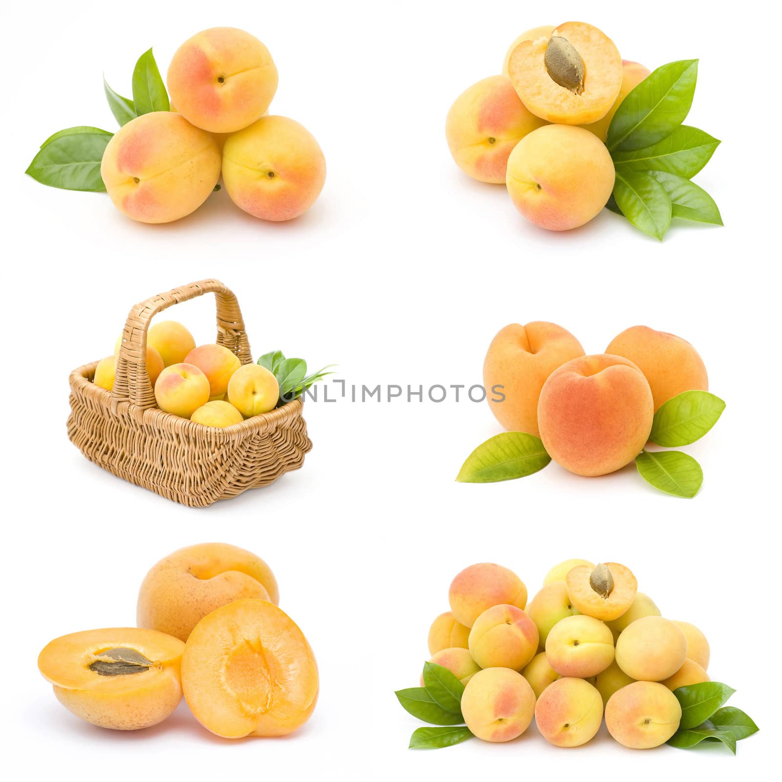 collection of fresh apricot fruits by miradrozdowski