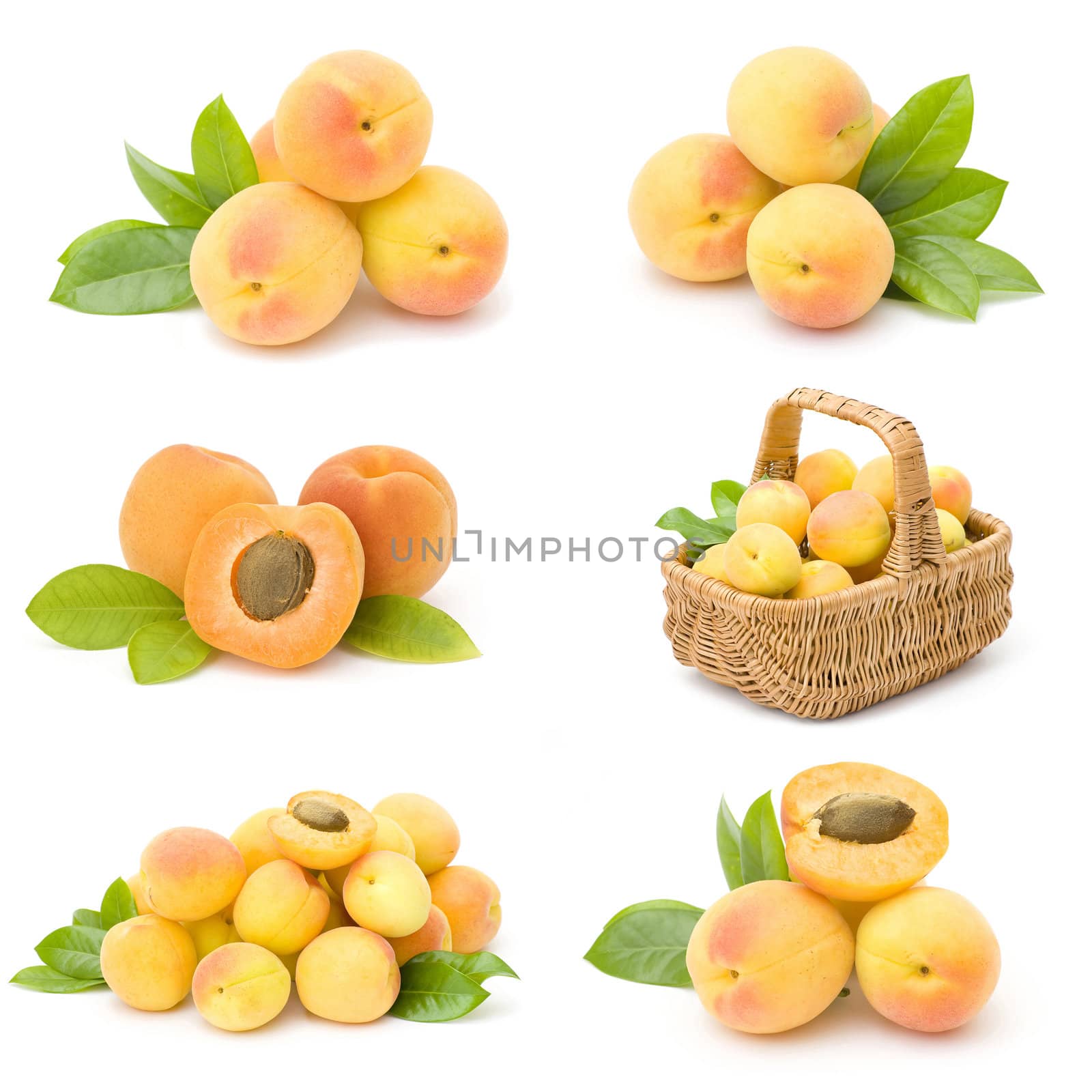collection of fresh apricot fruits