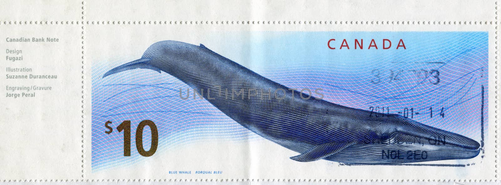 CANADA - CIRCA 2001: stamp printed by Canada, shows whale, circa 2011