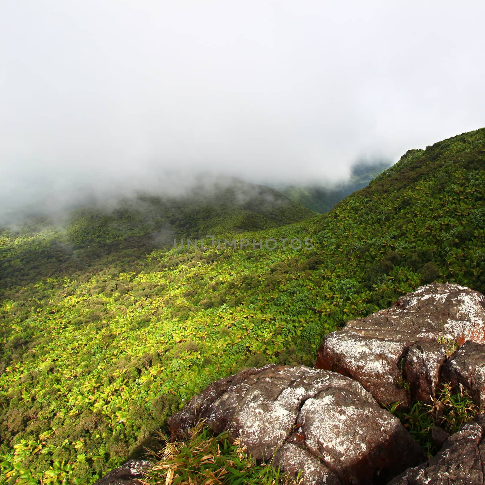 Misty clouds sweep over the rainforest in the mountains of El Yunque National Forest - Puerto Rico.