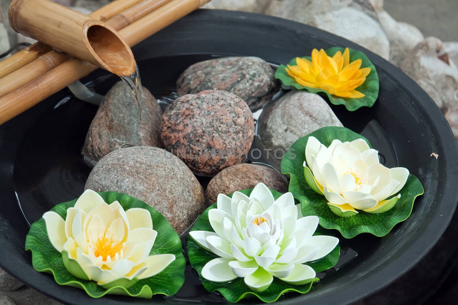 Beautiful Japanese water lilies flowers arrangement with a bamboo waterfall 