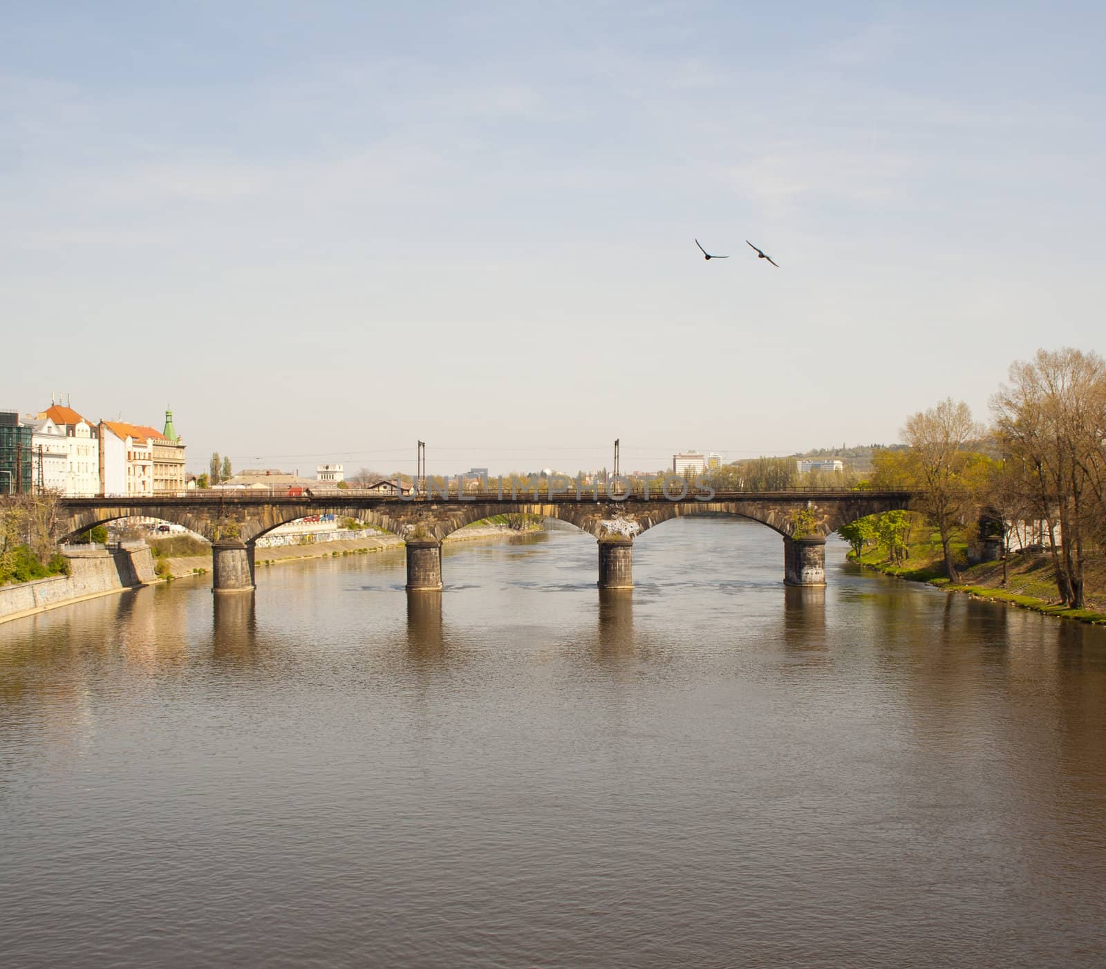 beautiful views of the city in summer. Prague, Czech Republic.