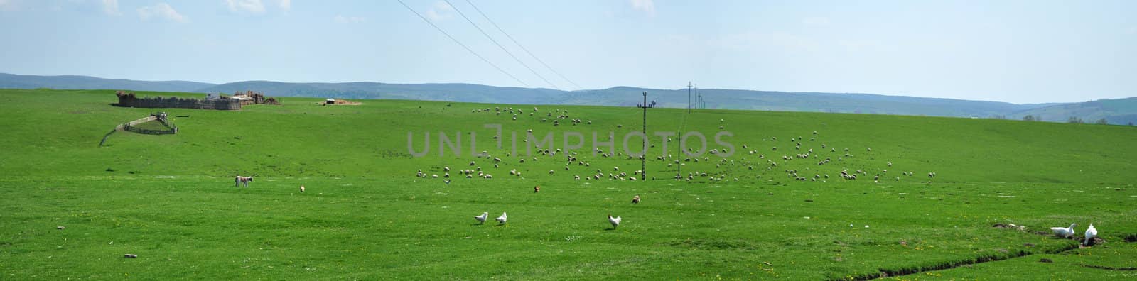 green field panorama by tony4urban
