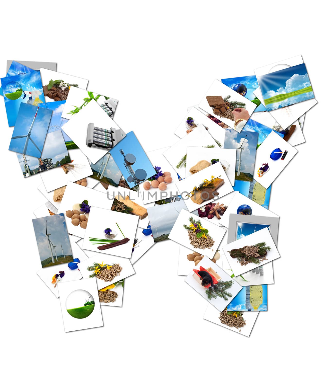 collage in the shape of butterflies with pictures of objects ecological