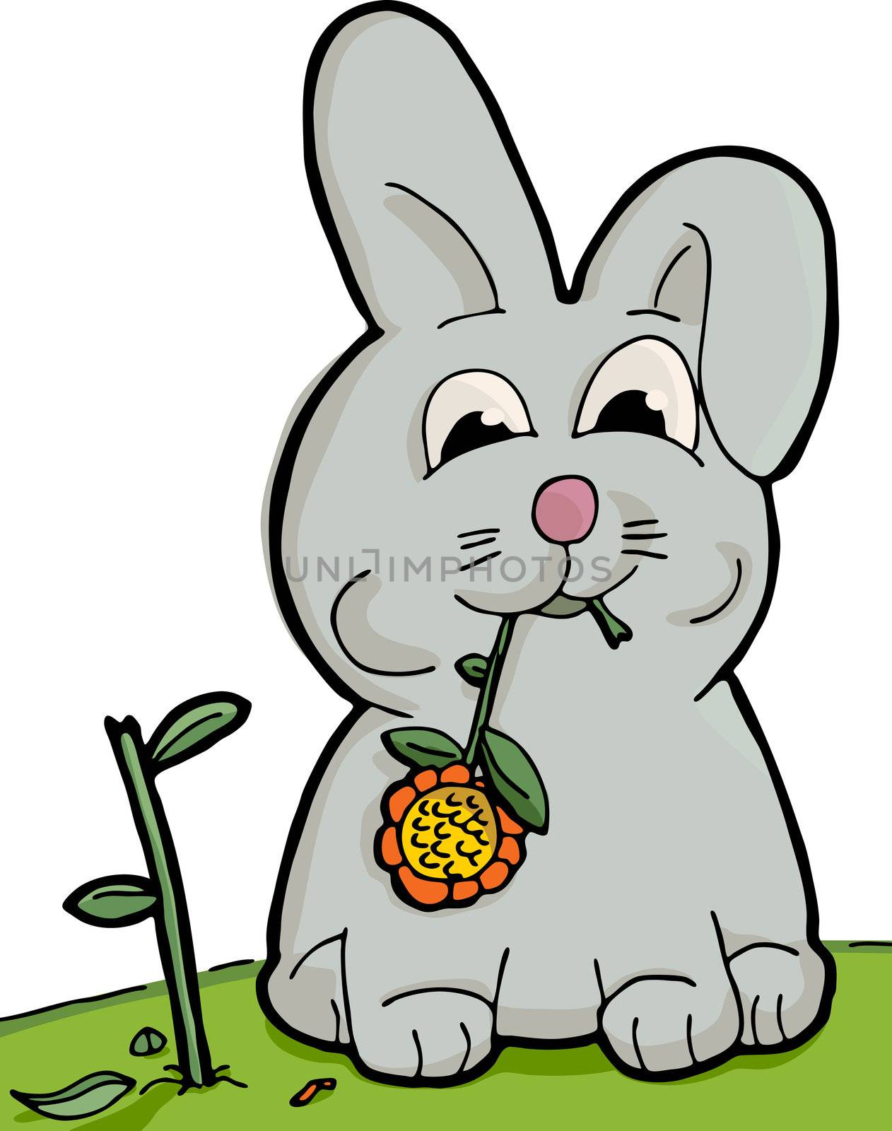 Cute bunny munching on a sunflower with torn stem
