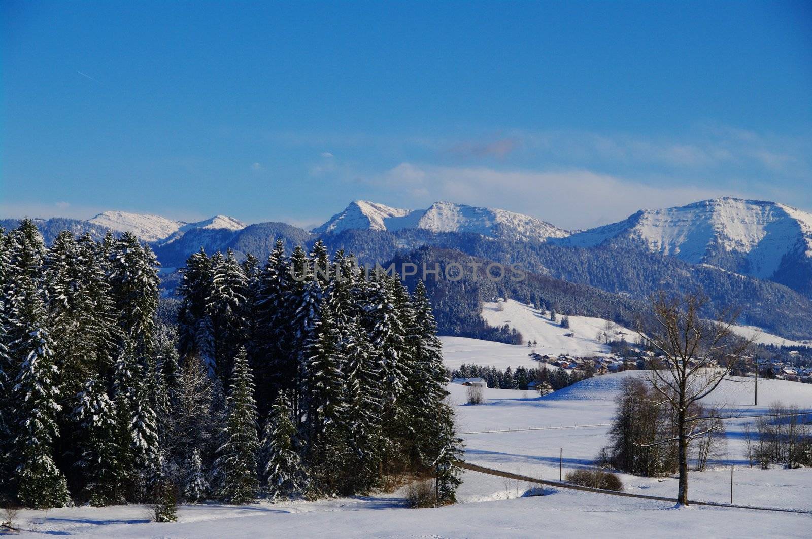 beautiful snowy winter landscape at Christmas time