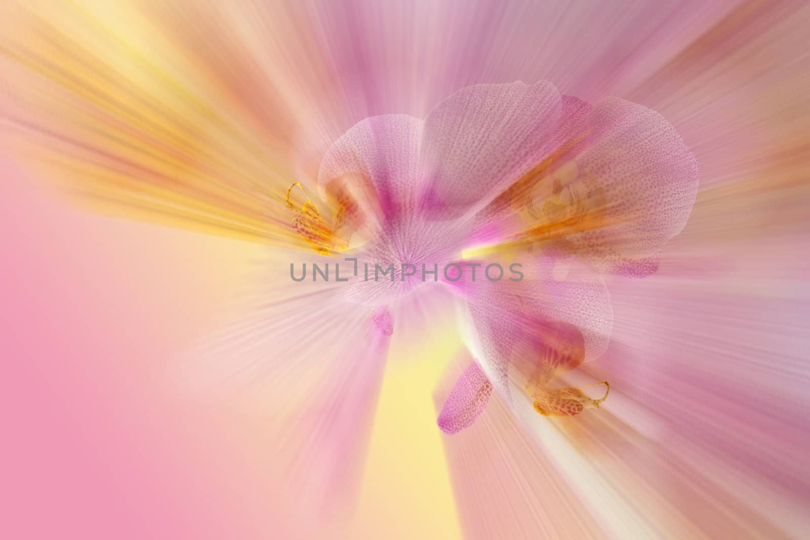 colorful background for tickets, postcards or Web sites