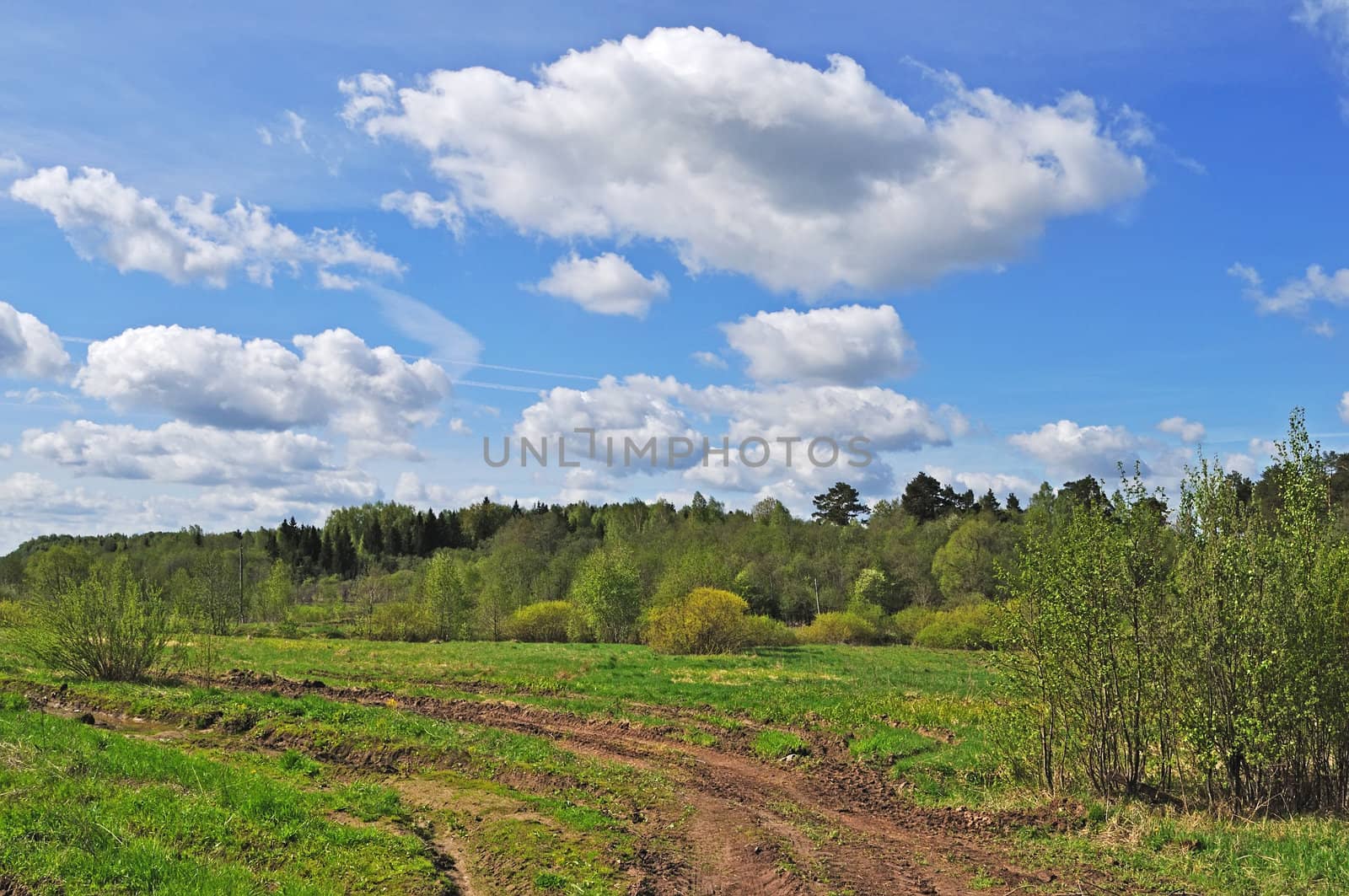 Country road, forest and clouds in blue sky, spring sunny day