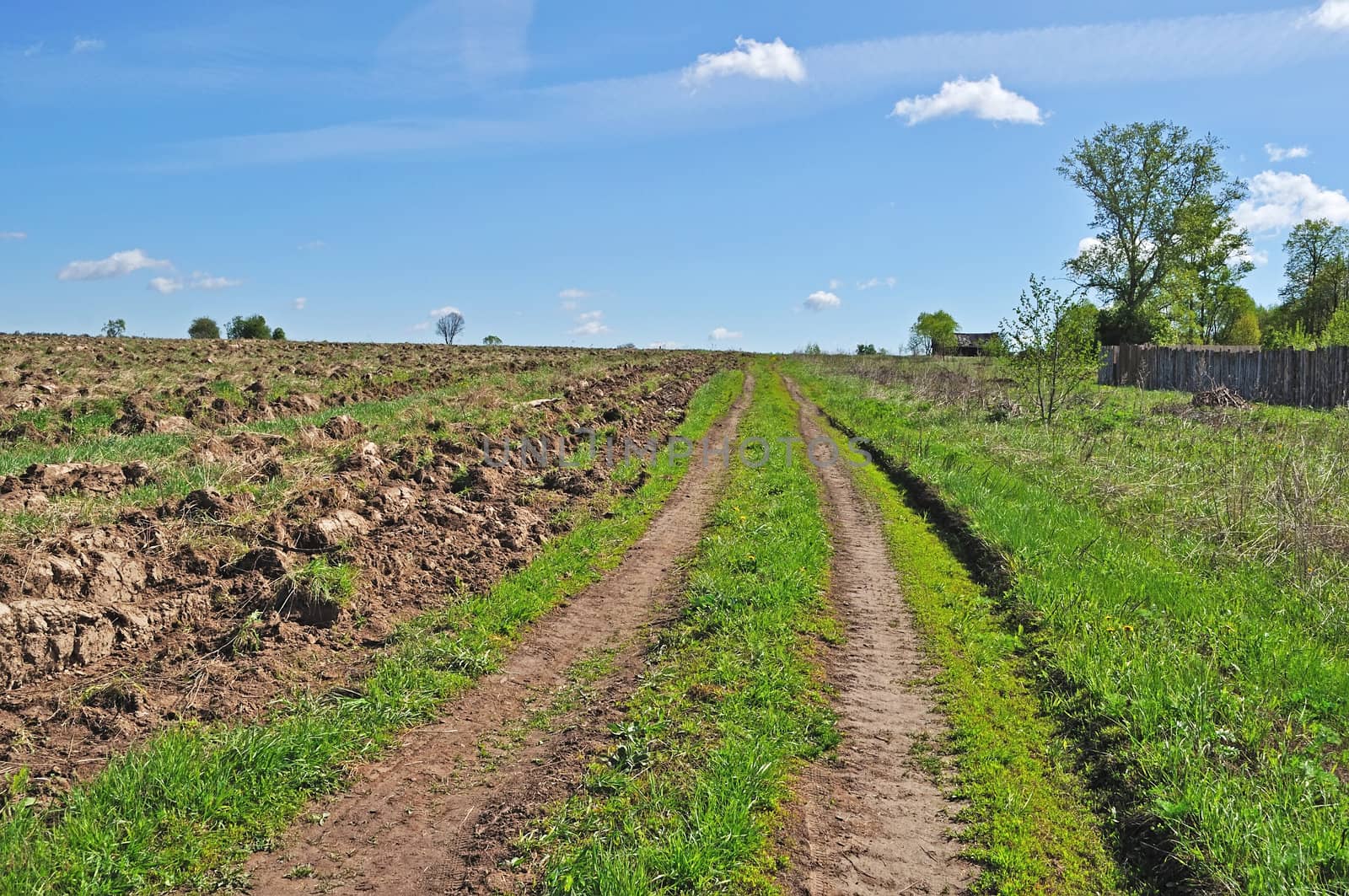 Country road at village outskirts by wander