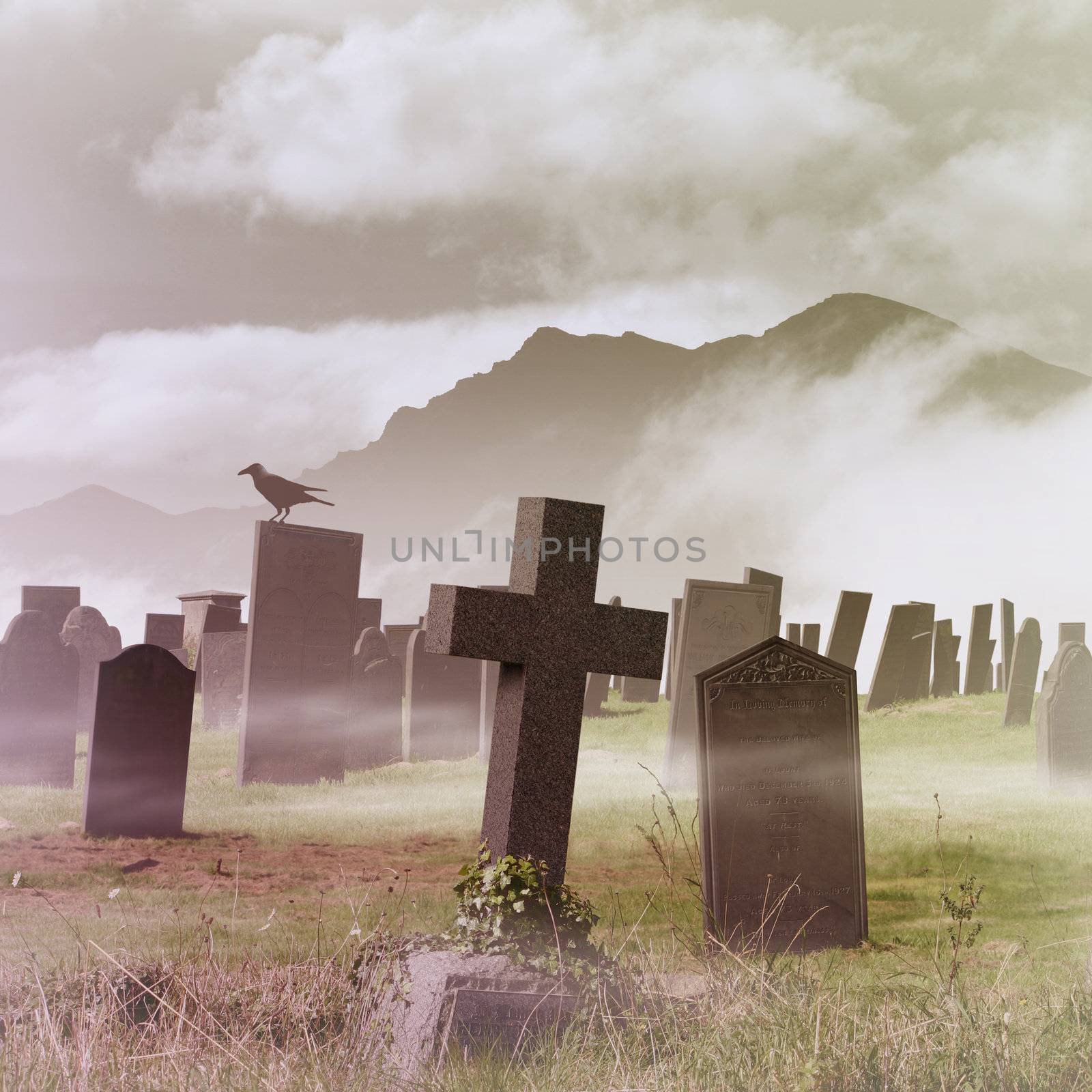Misty Graveyard by Binkski