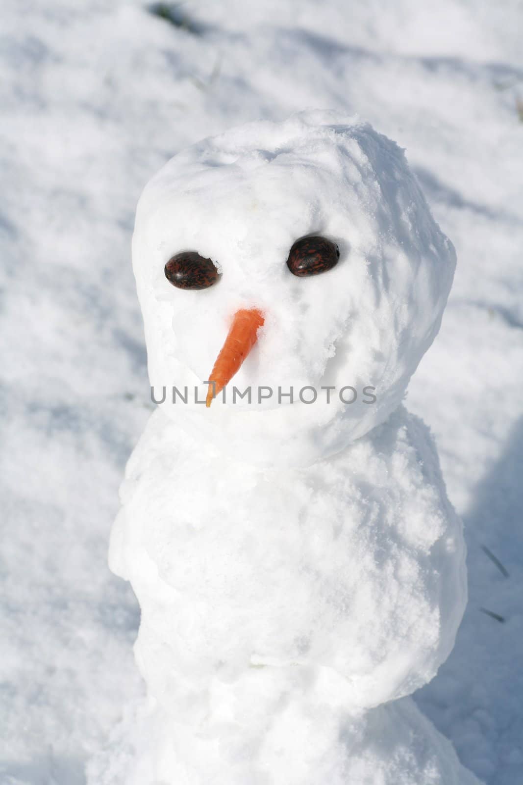 Snowman by yucas