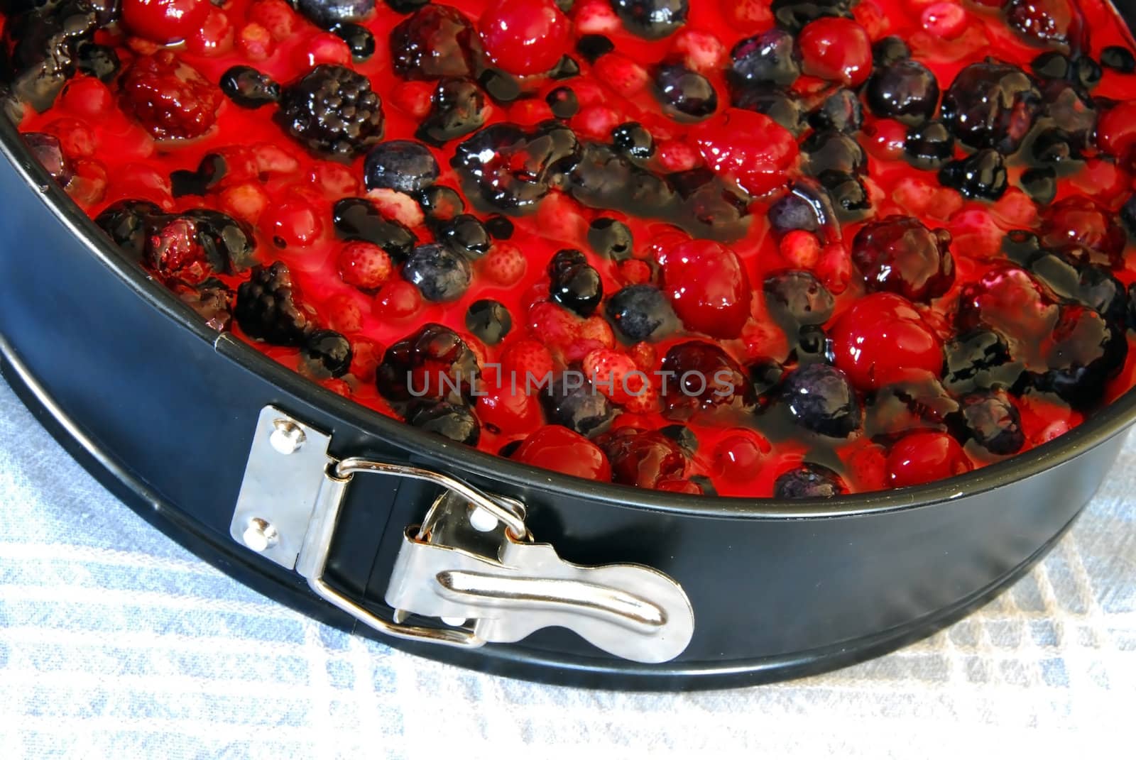 top of prepared cheesecake in baking mold with various fruits and berries