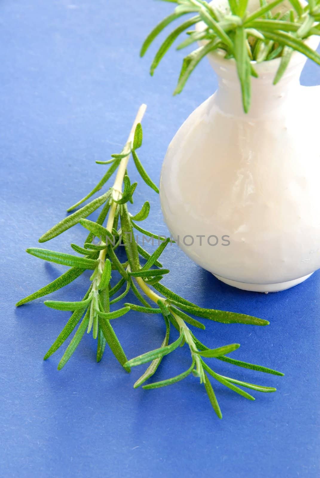 Rosemary by simply