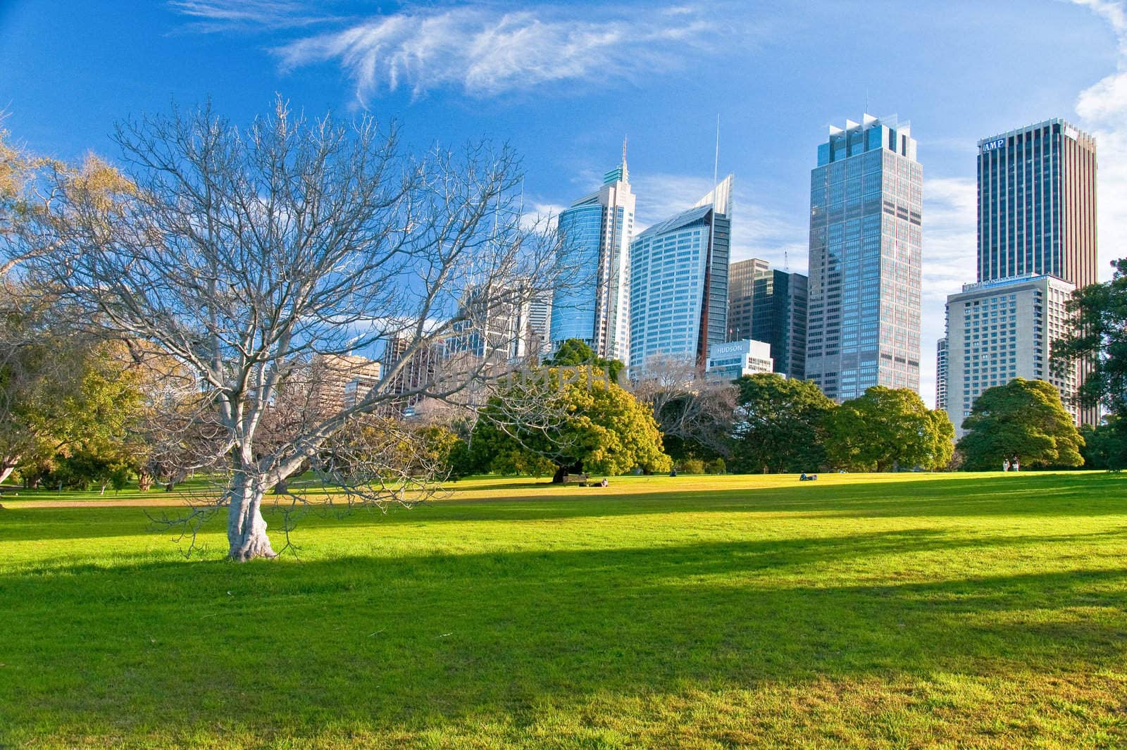 park and buildings in sydney, australia