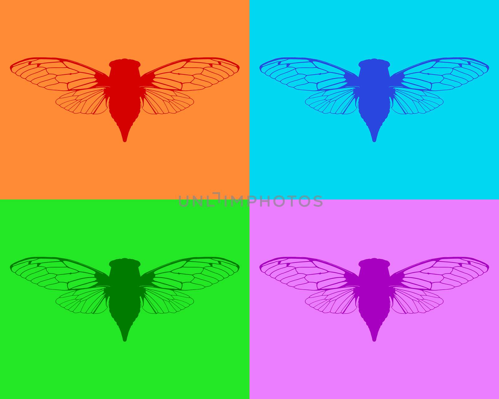 Beautiful cicadas