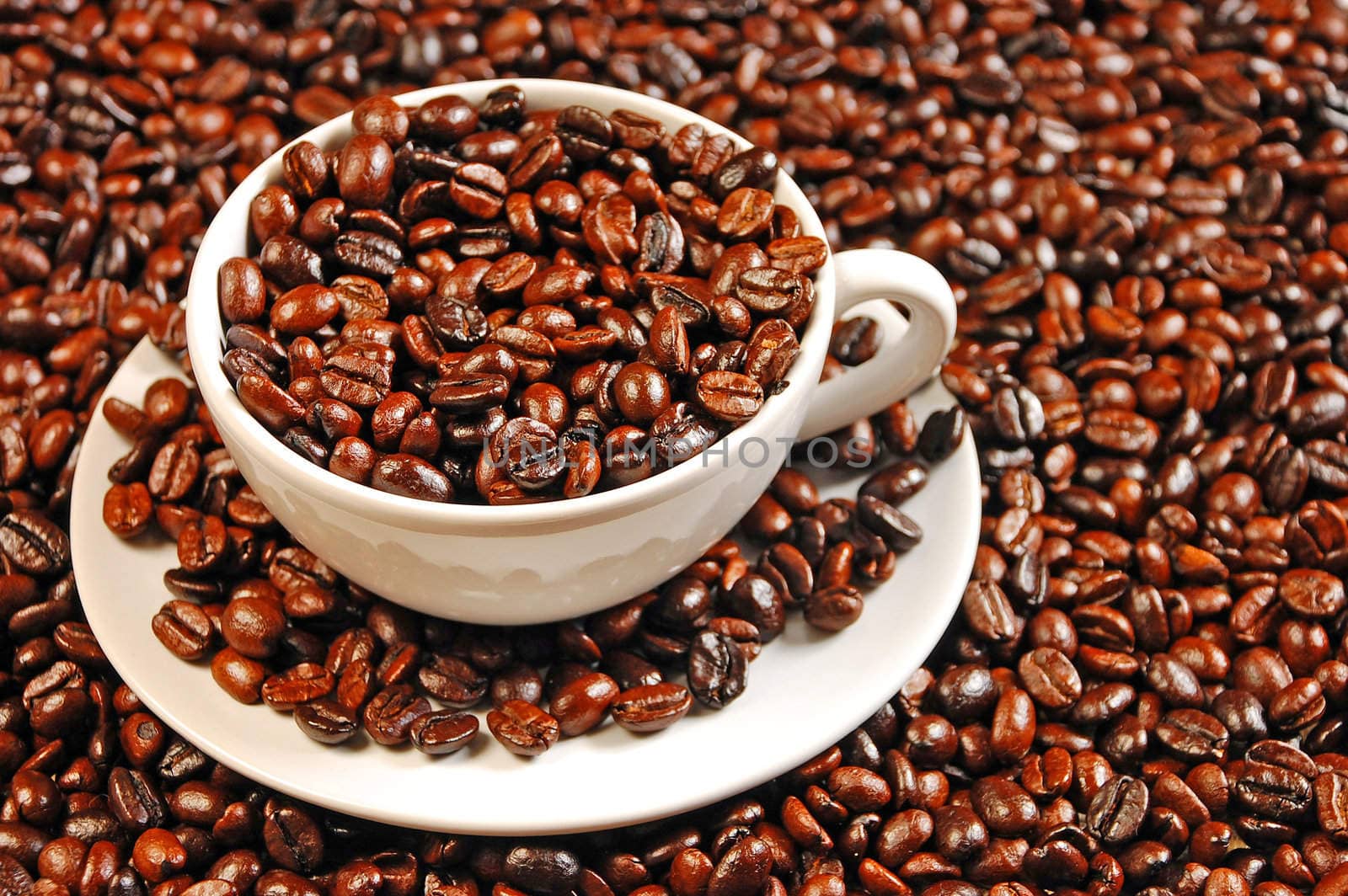 Freshly roasted coffee beans in white cup and saucer