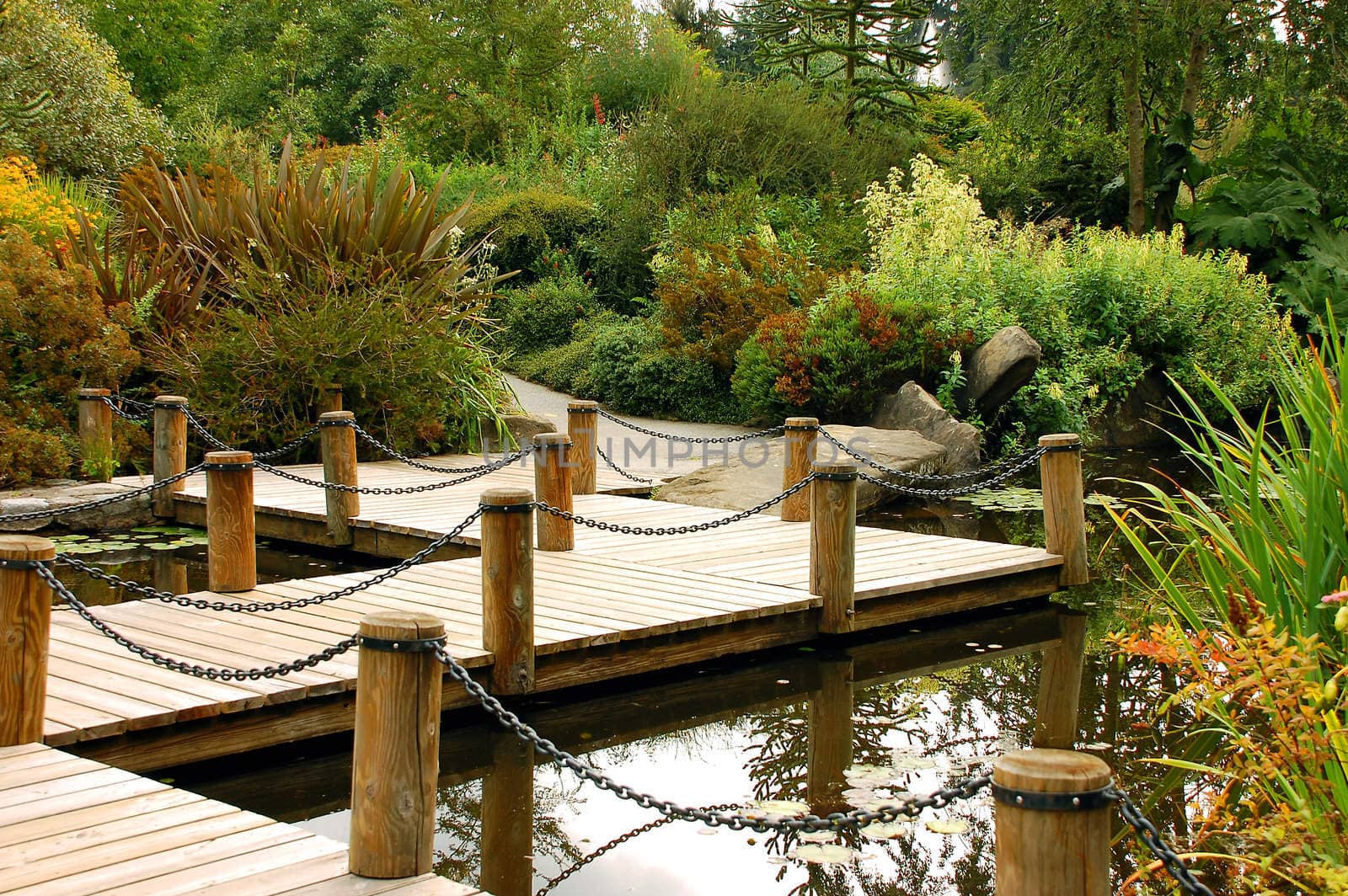 Botanical garden pond with dock