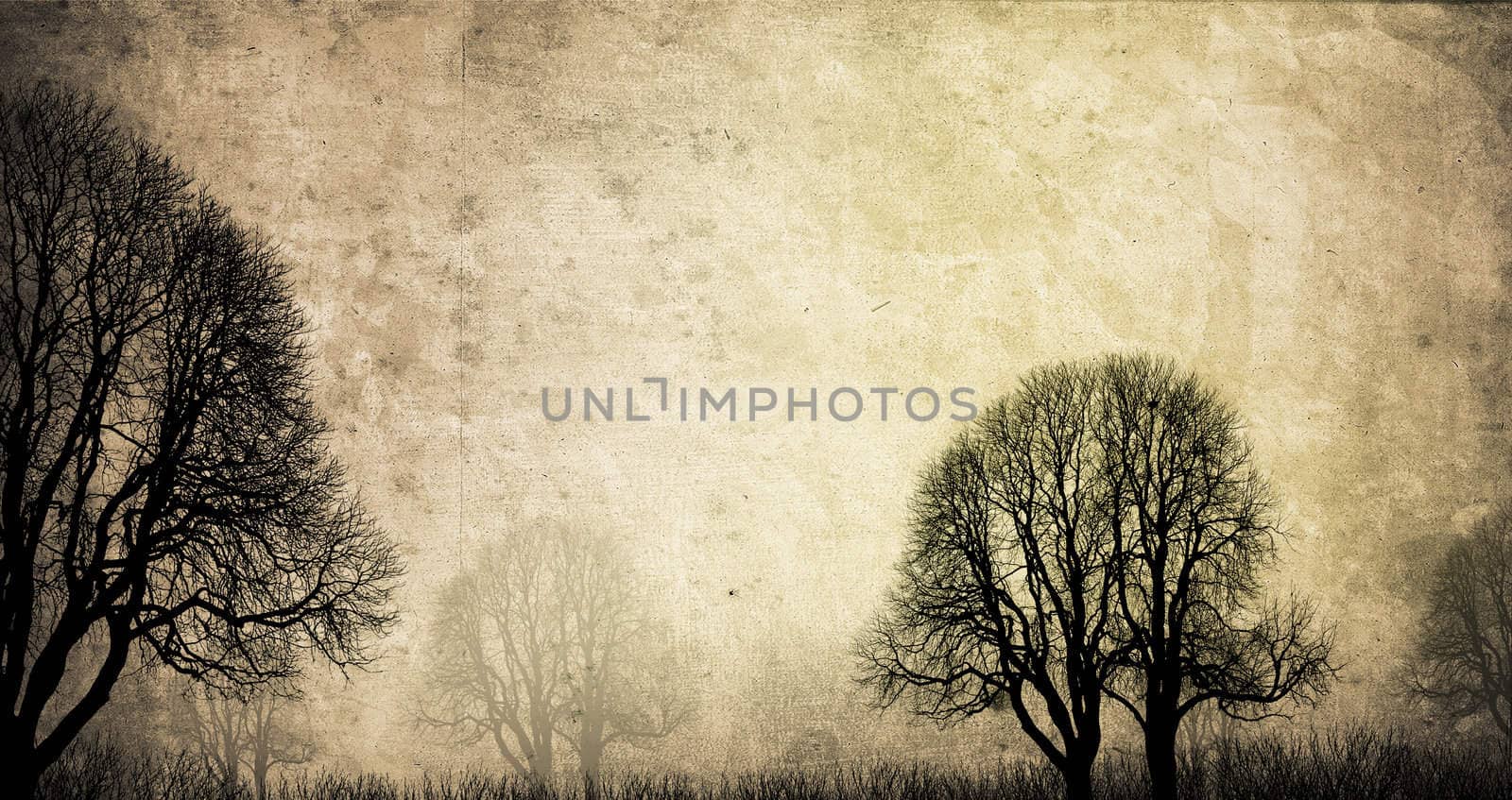 old trees background in autumn with texture