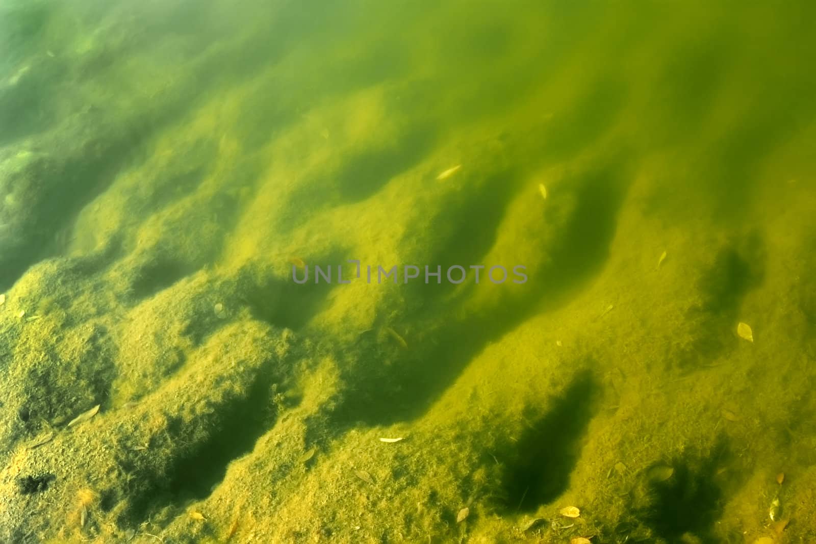 Pond bottom by qiiip
