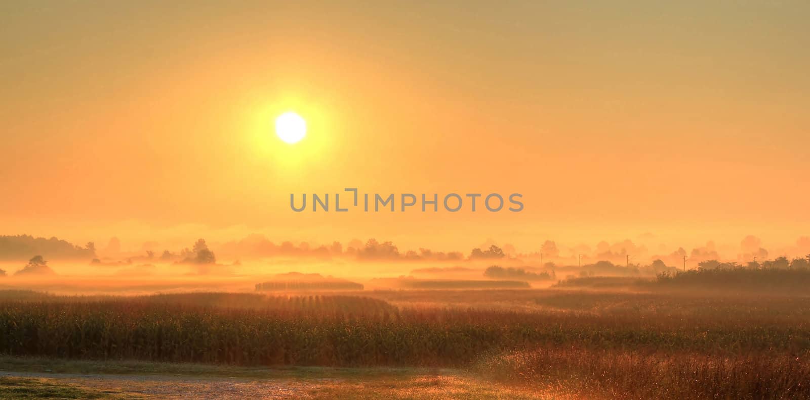 Fields in fog after sunrise