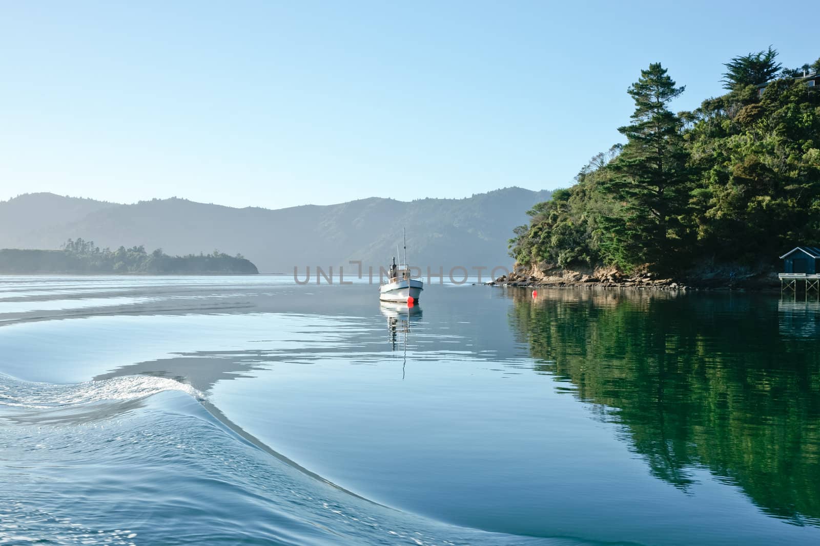 Calm water of Marlborough, New Zealand.