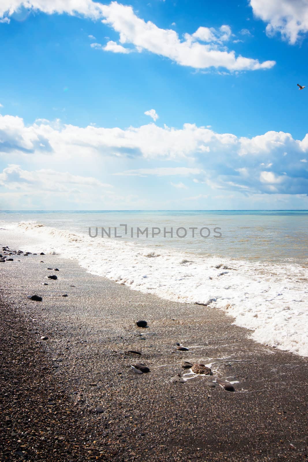 Beach by AGorohov