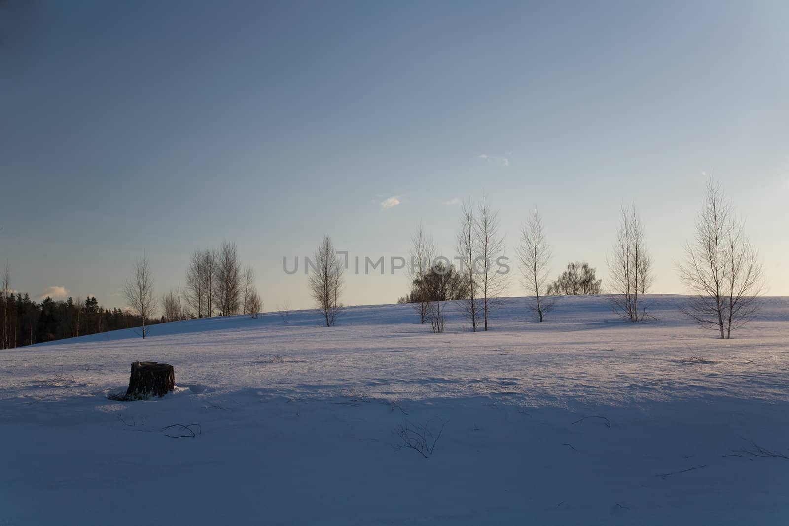winter day