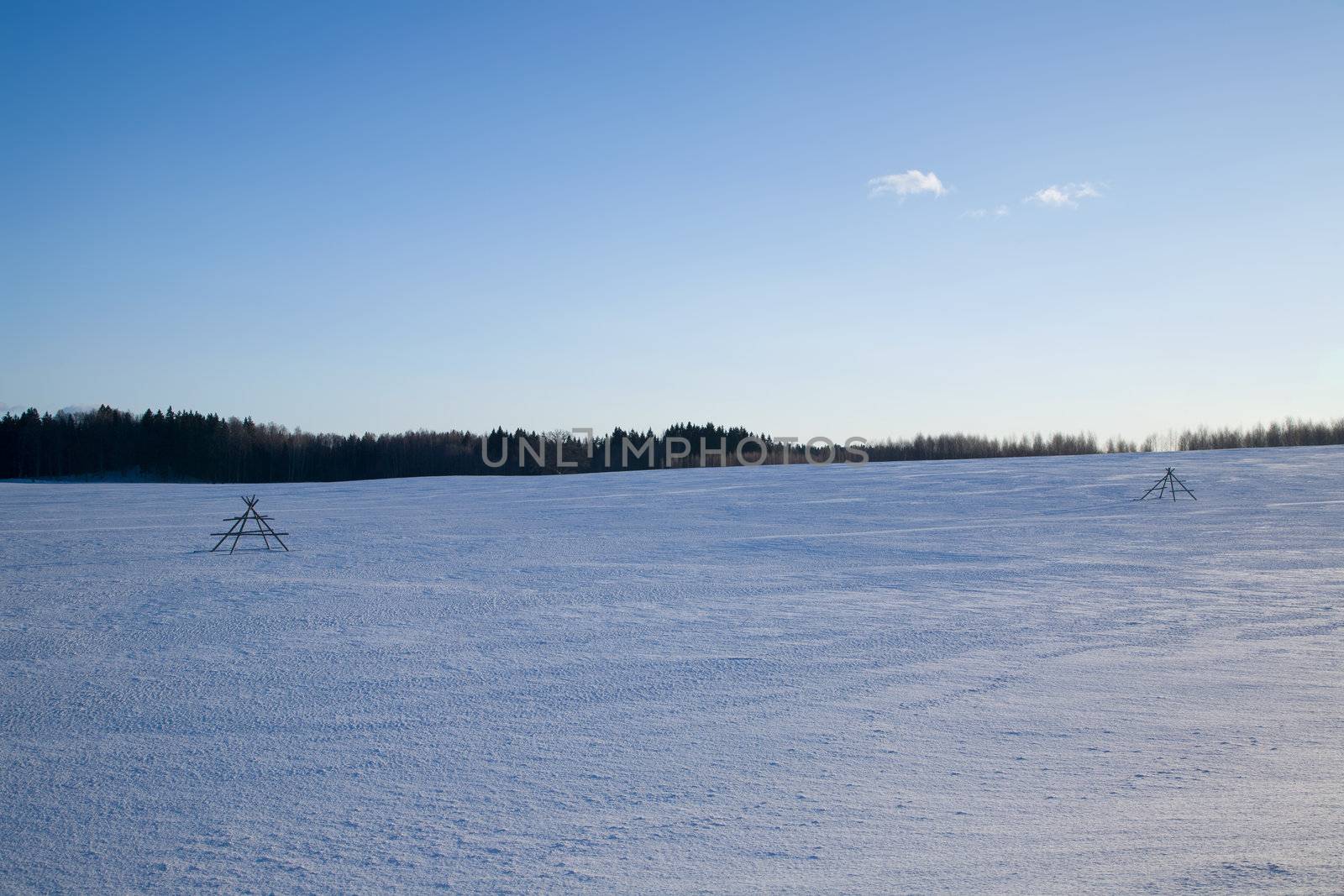 winter day