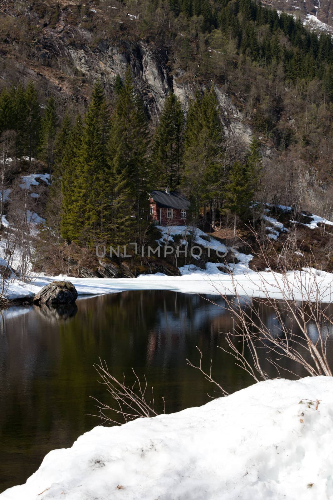 A old cabin in the forest