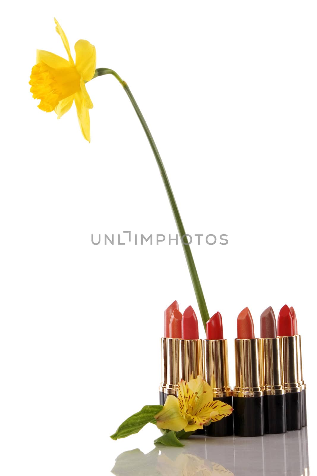glamor red shiny lipstick and yellow flower on white background