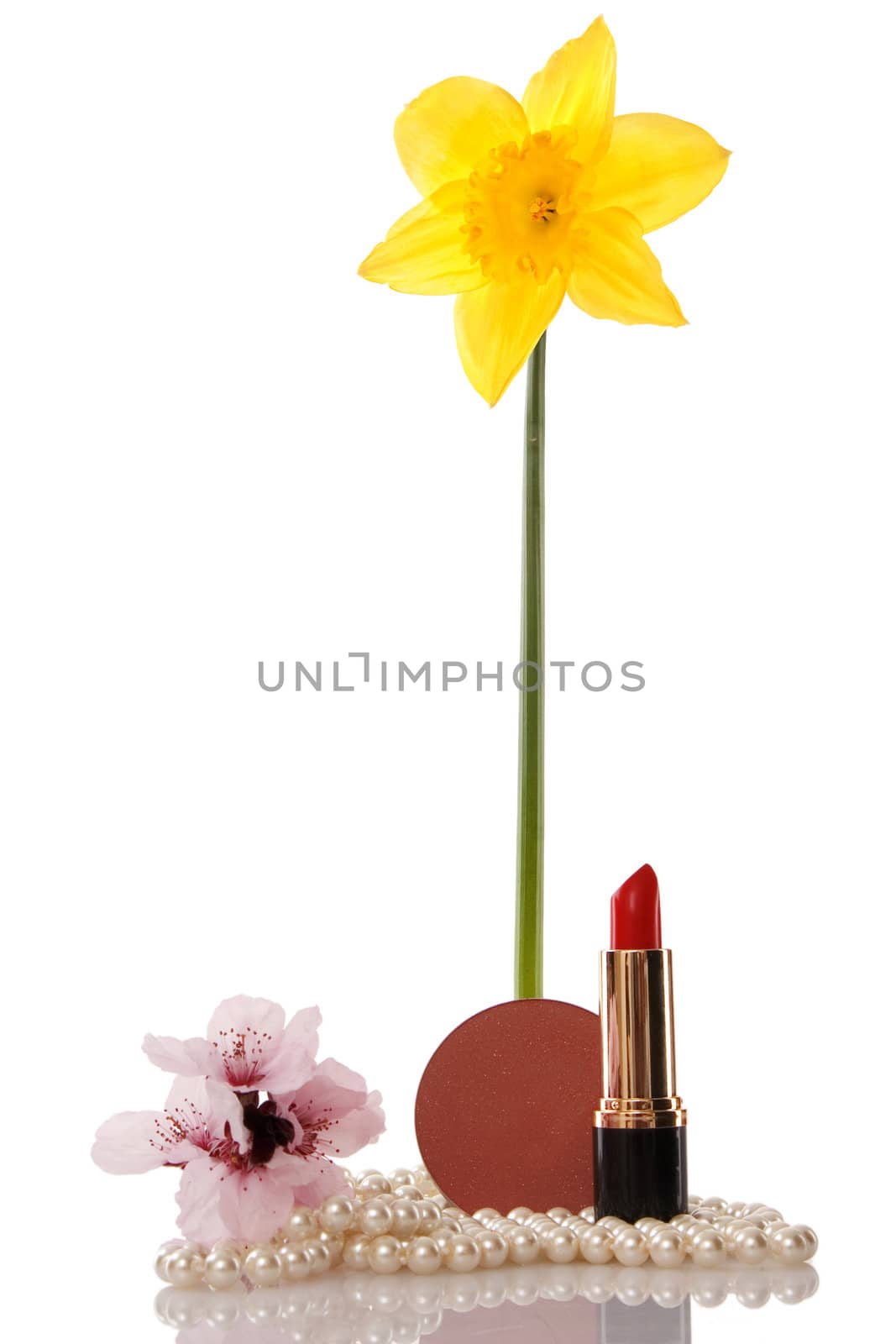 Pearls beads, cosmetics and flower on white background