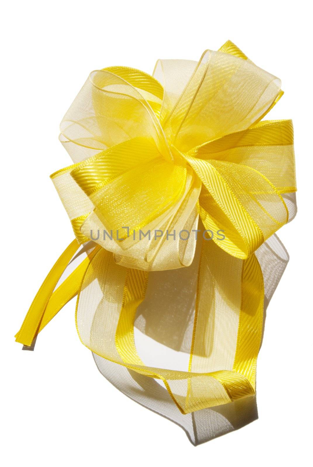Gift bow yellow with the gold ribbon isolated on white
