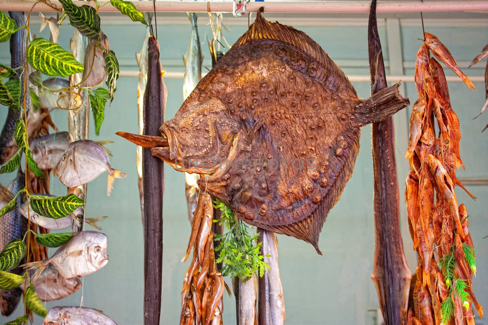 smoked and dried sea fish sold in the market