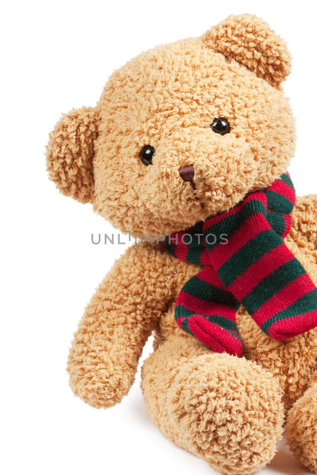 Teddy bear by AGorohov