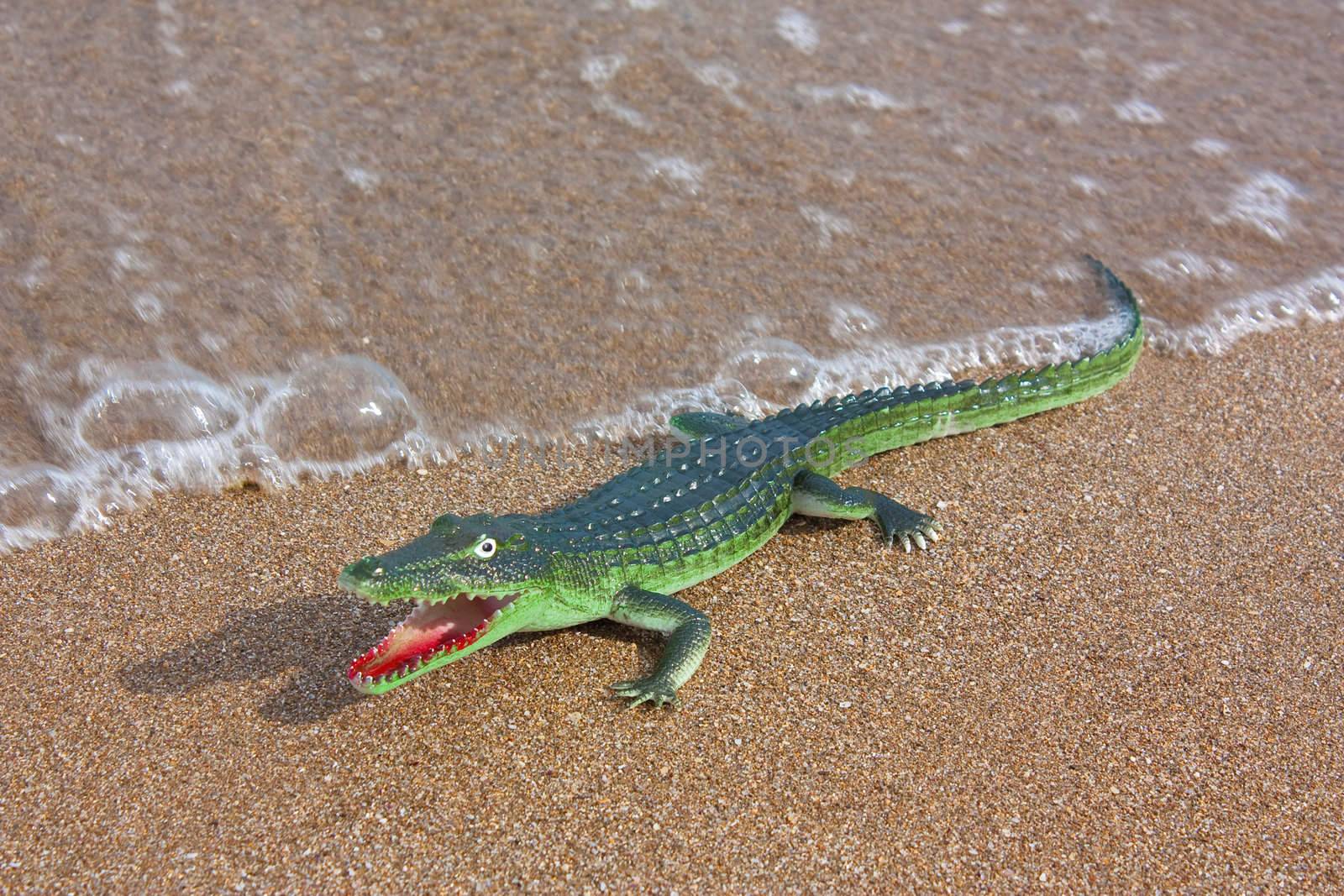 Toy crocodile on the beach