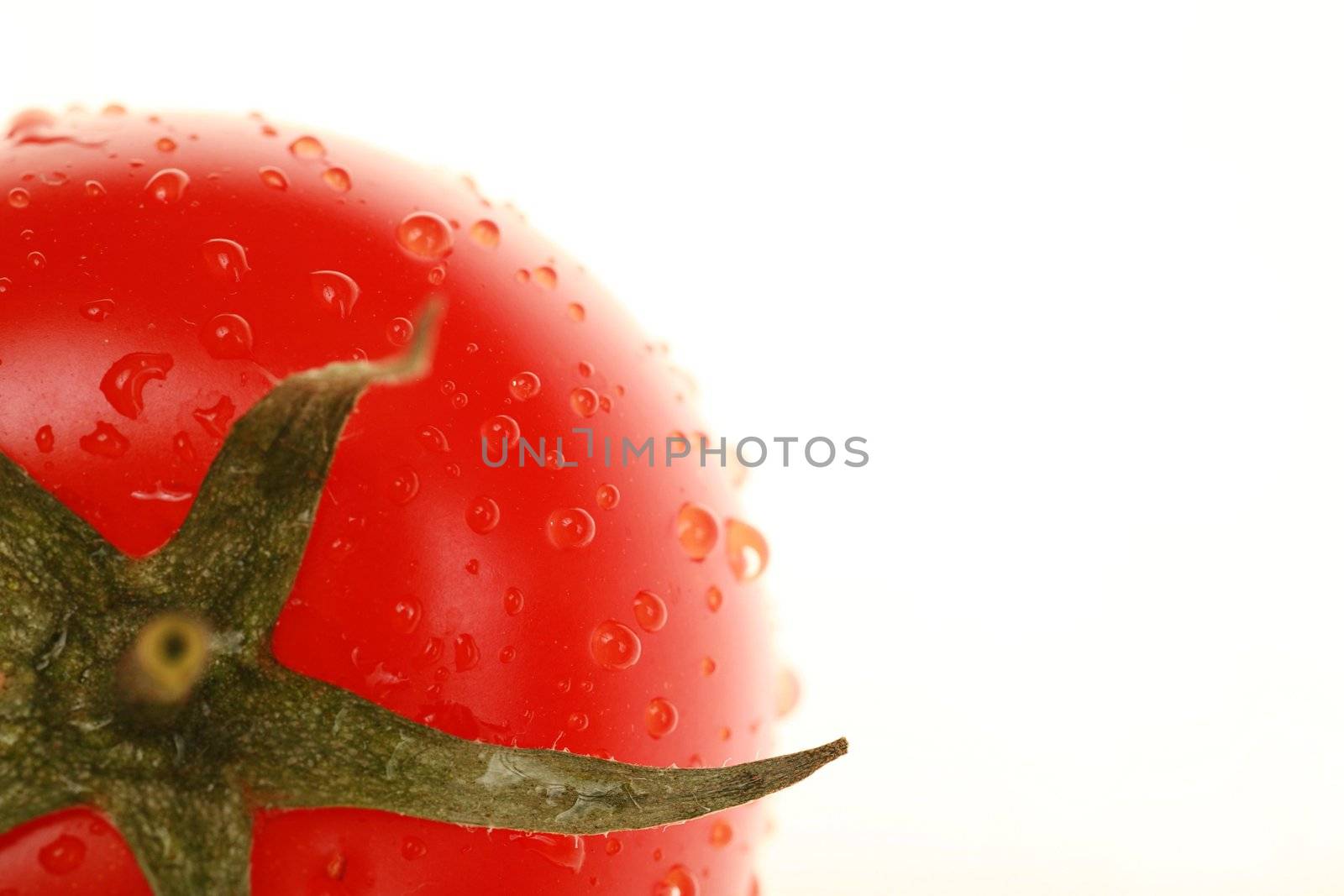 close-up of tomato with waterdrops strong backlit shallow DOF...........