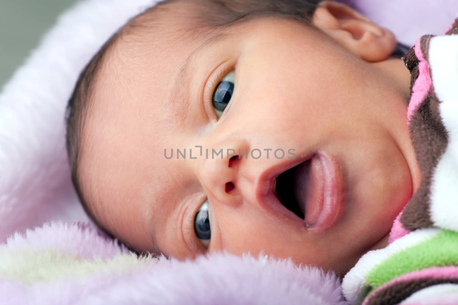 A newborn baby girl laying in her crib on fuzzy pink blankets. Shallow depth of field.