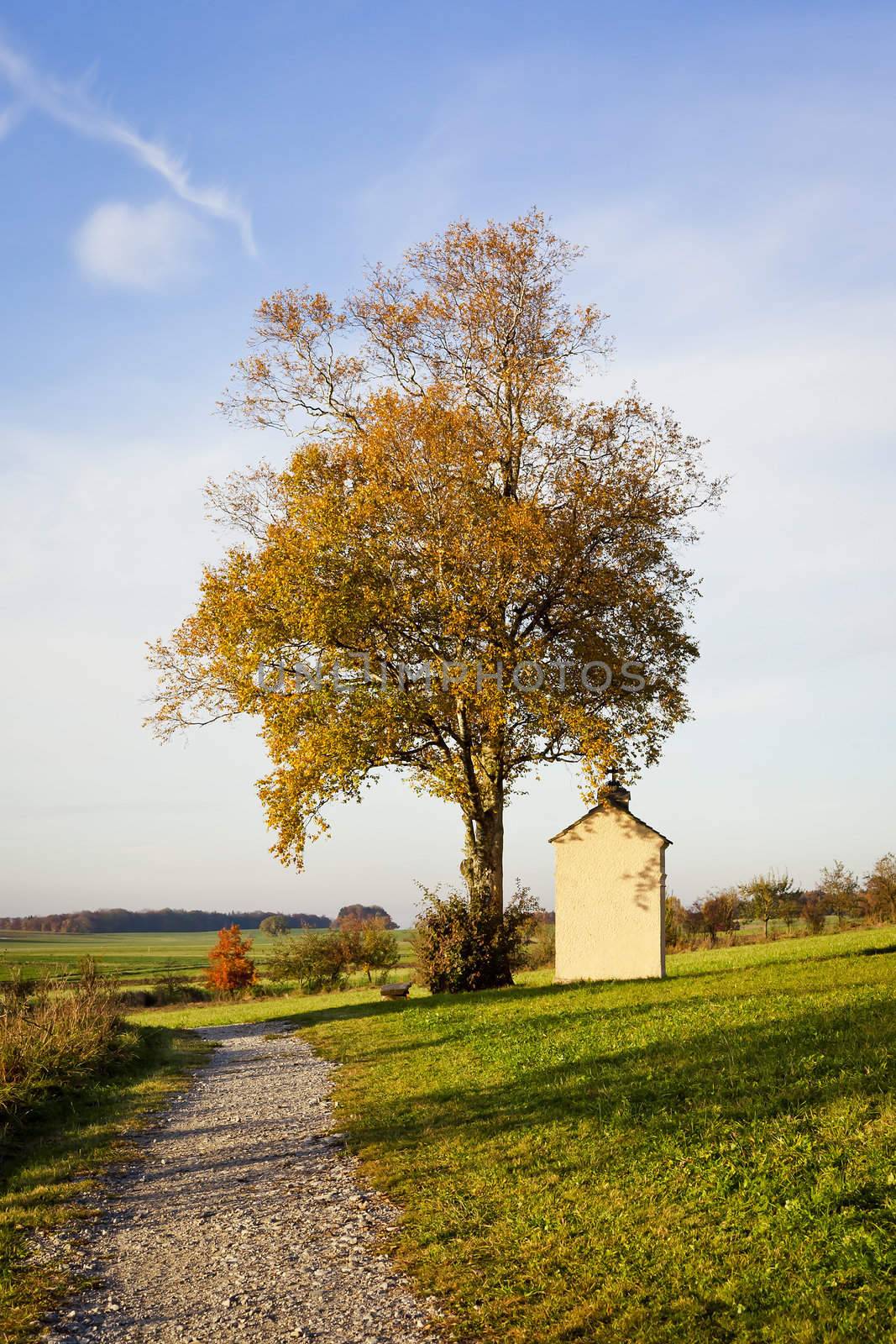 An image of a nice autumn landscape