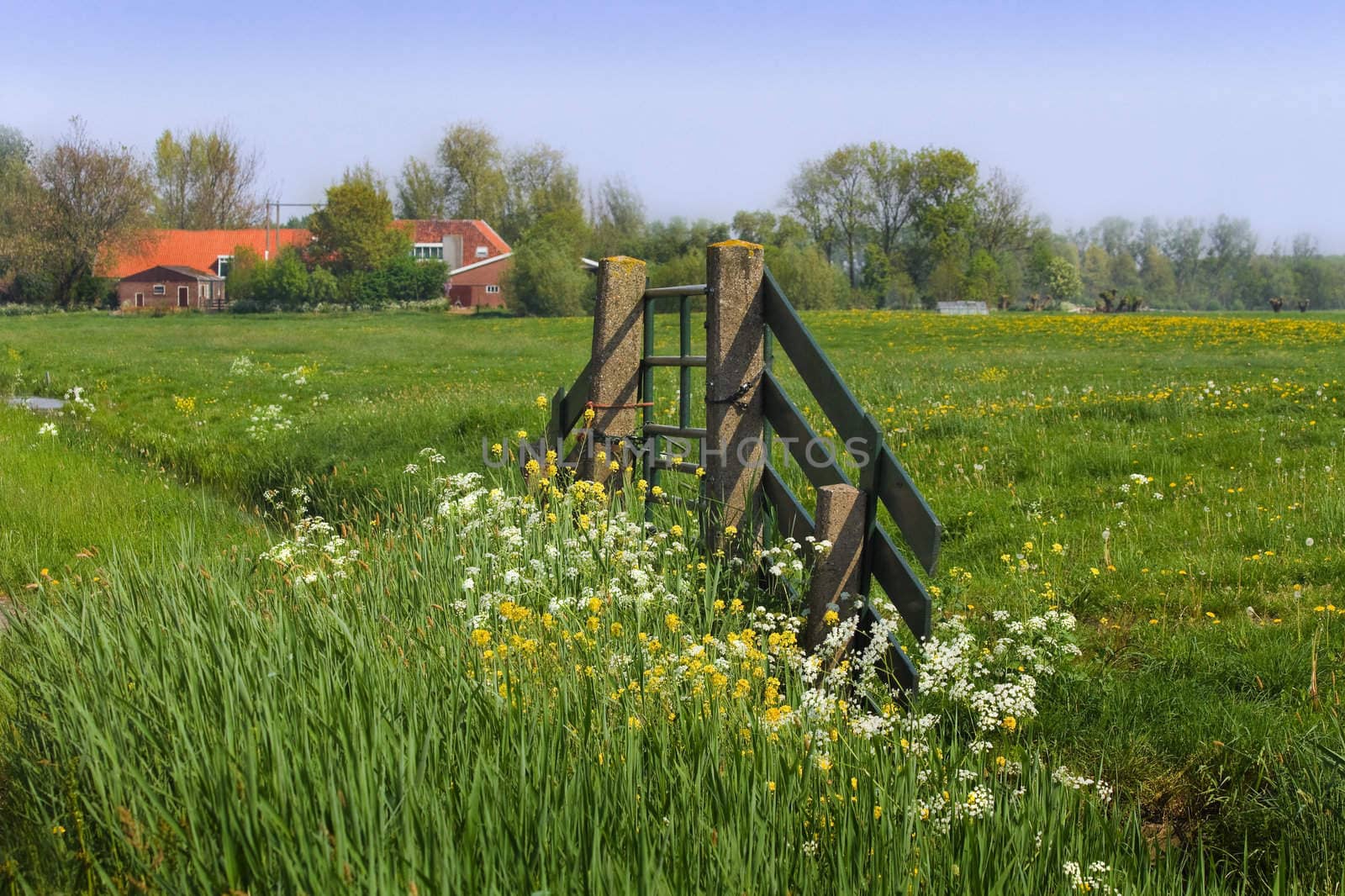 Gate and farm in Dutch country landcape in spring - horizontal