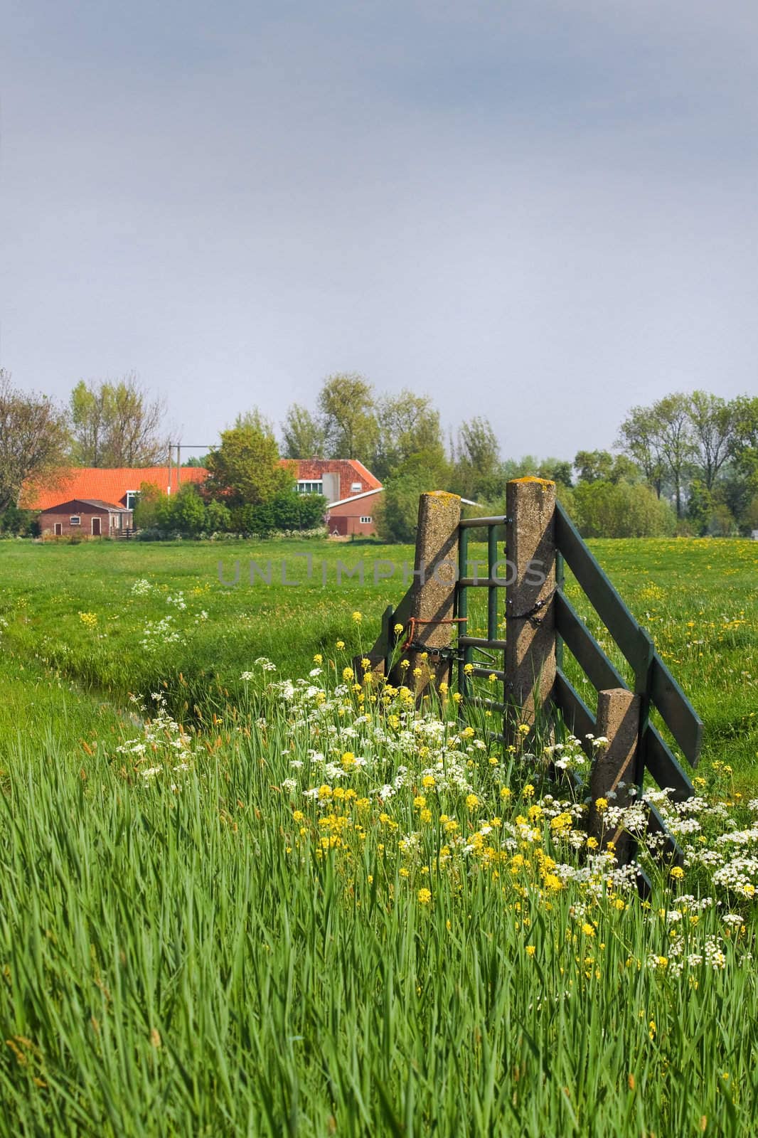 Gate and farm in Dutch country landcape by Colette