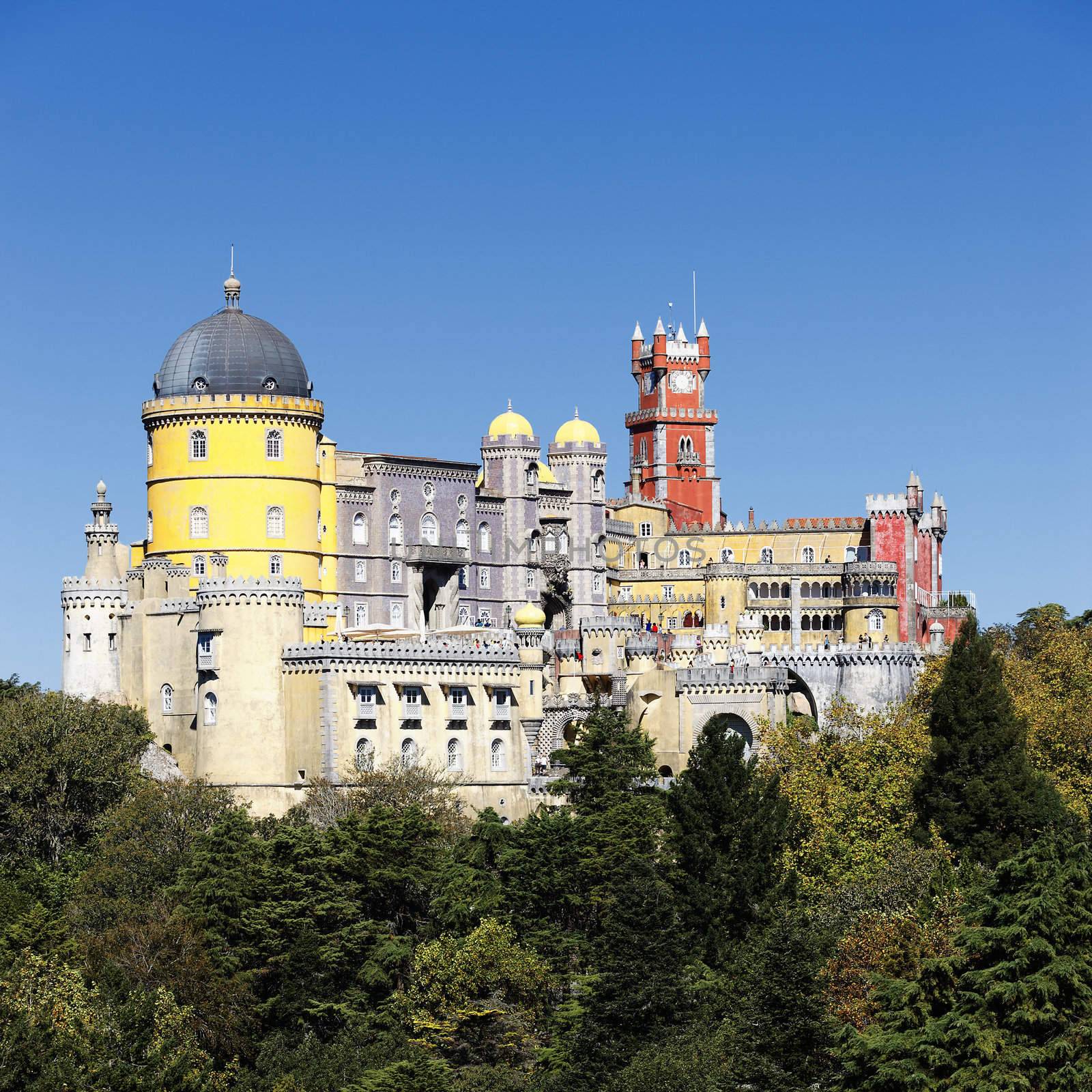 Pena National Palace in Sintra in summer by vwalakte